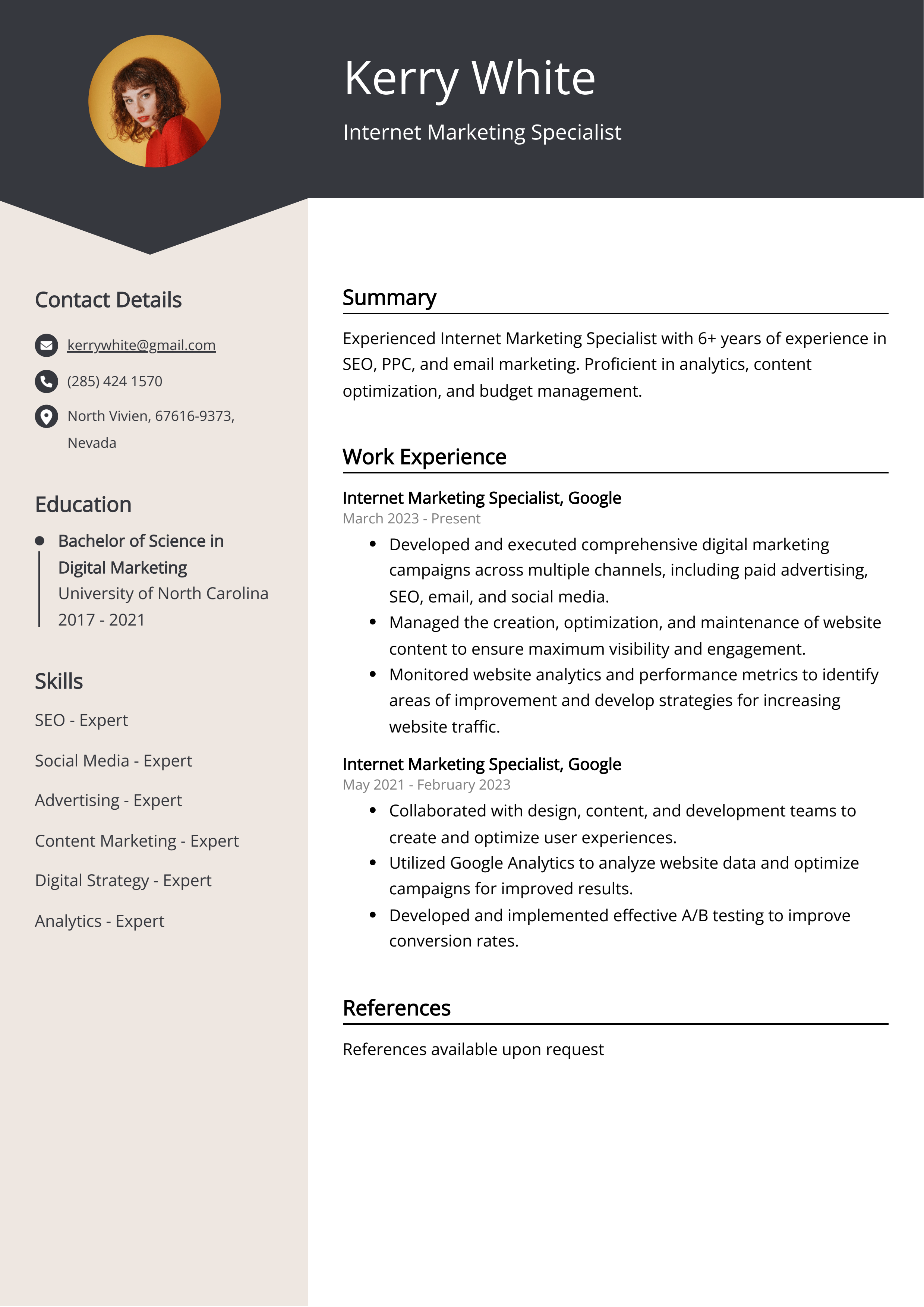 Internet Marketing Specialist CV Example