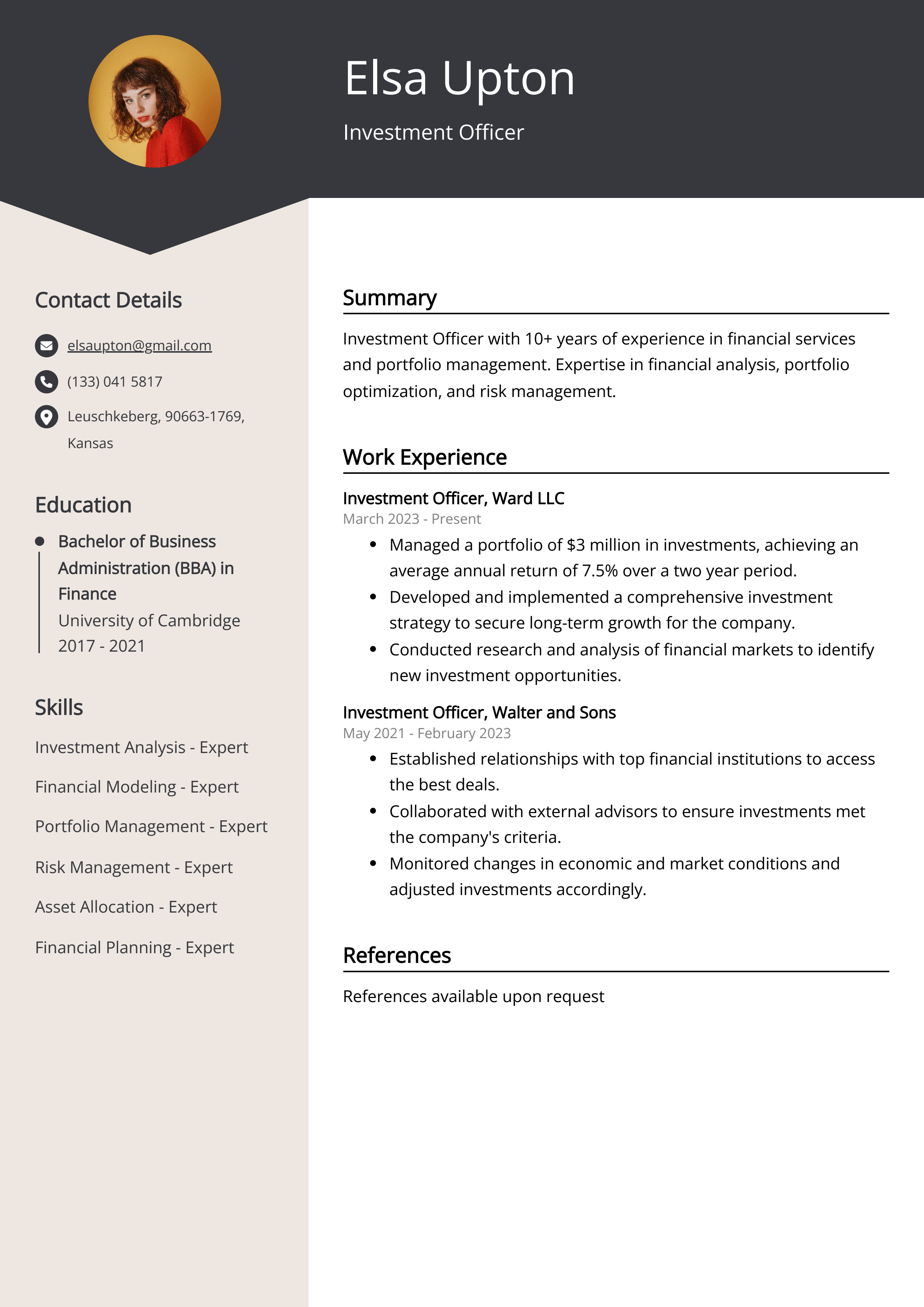 Investment Officer CV Example