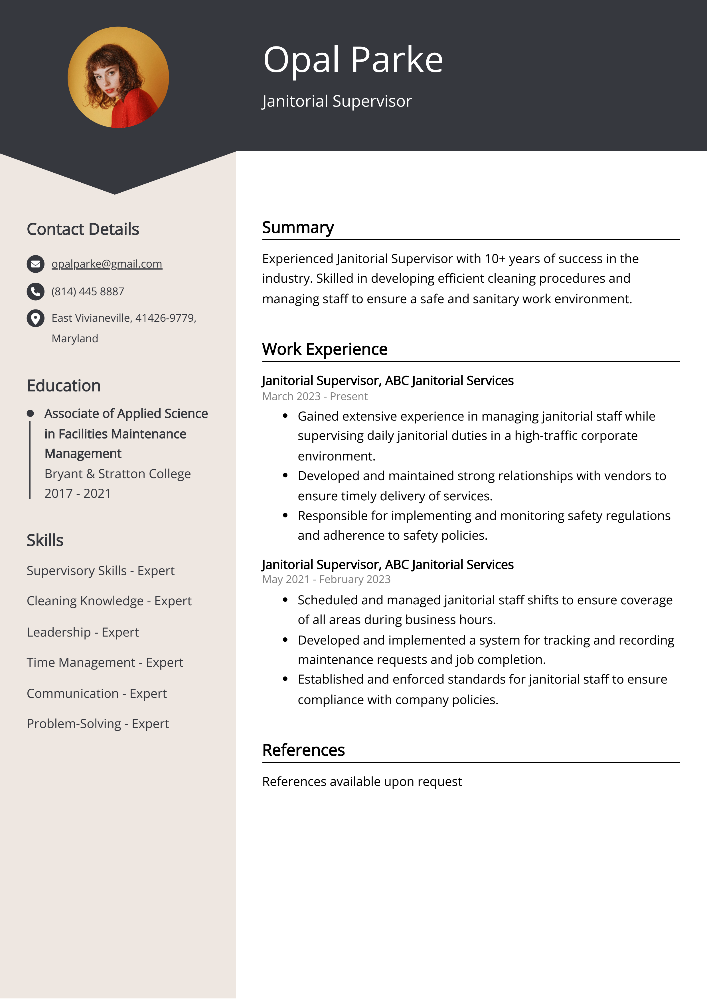 Janitorial Supervisor CV Example