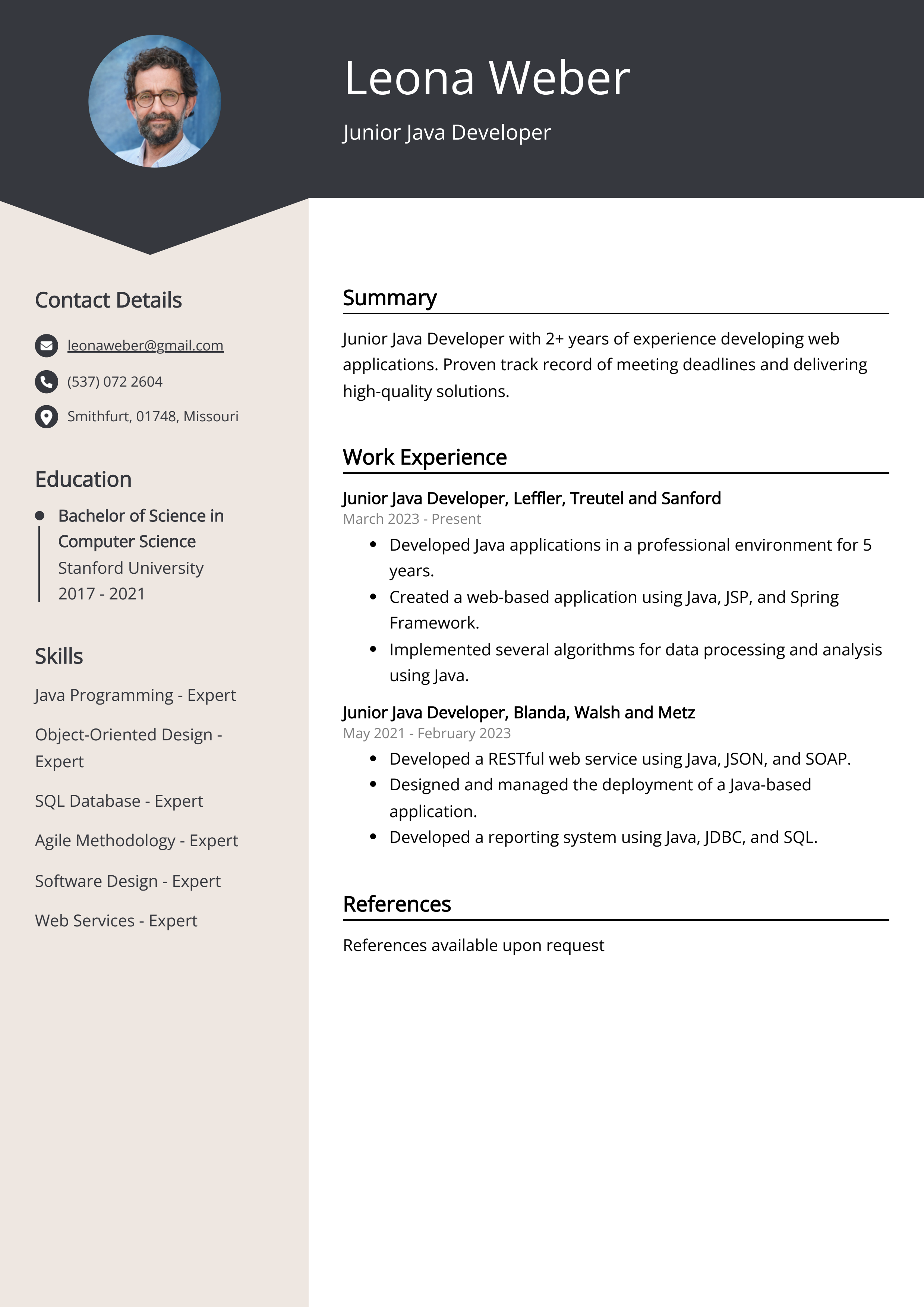 Junior Java Developer CV Example