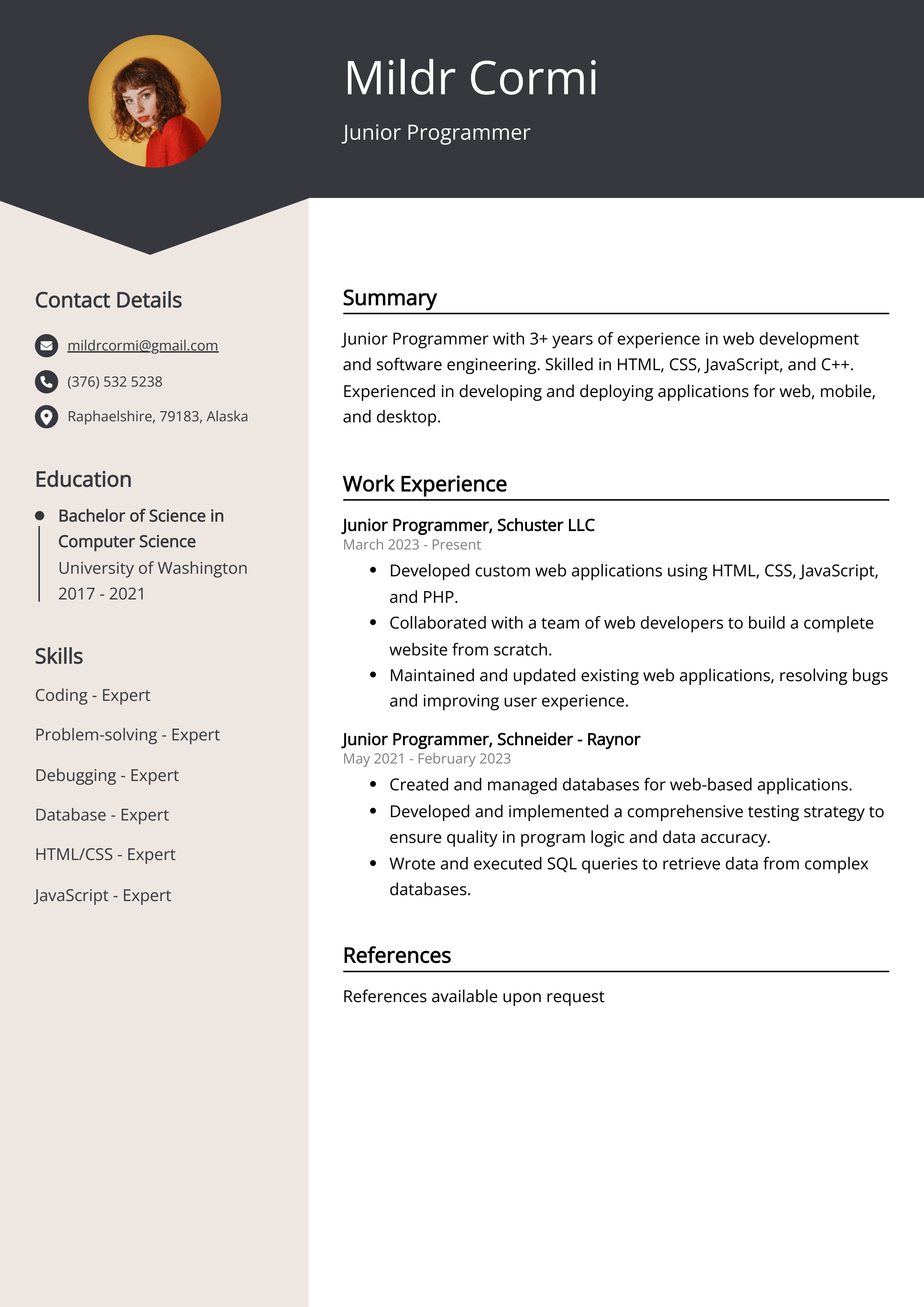 Junior Programmer CV Example