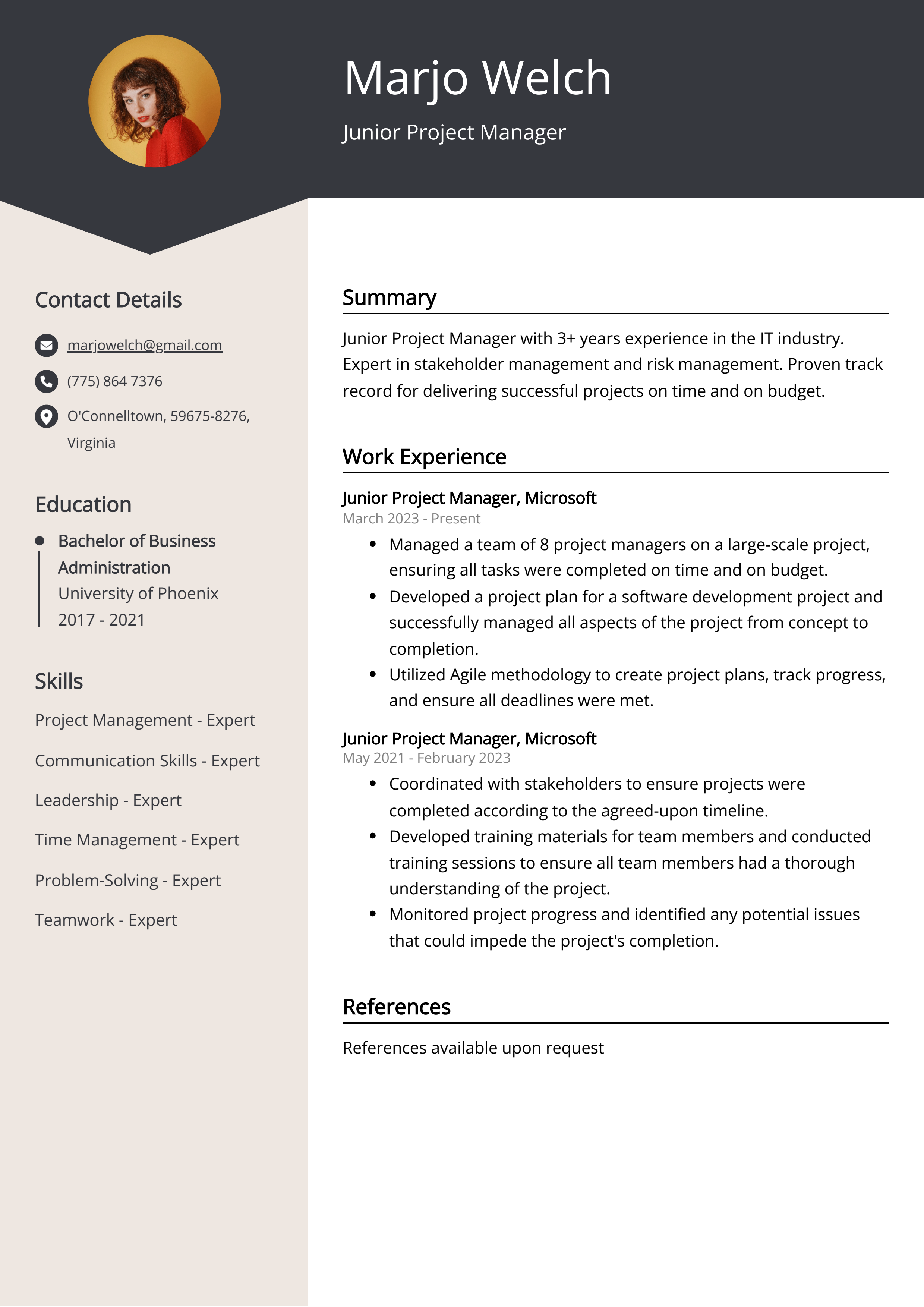 Junior Project Manager CV Example