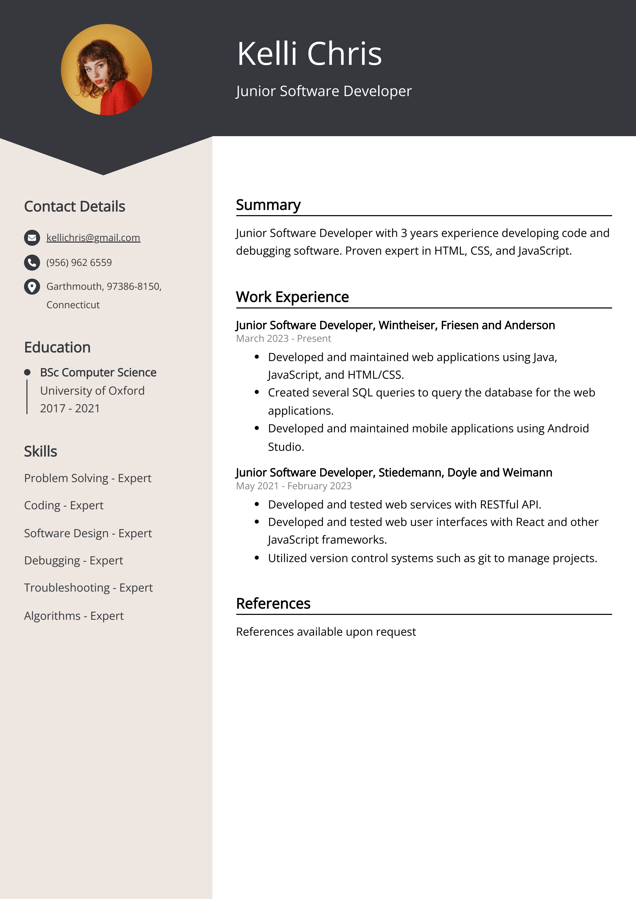 Junior Software Developer CV Example