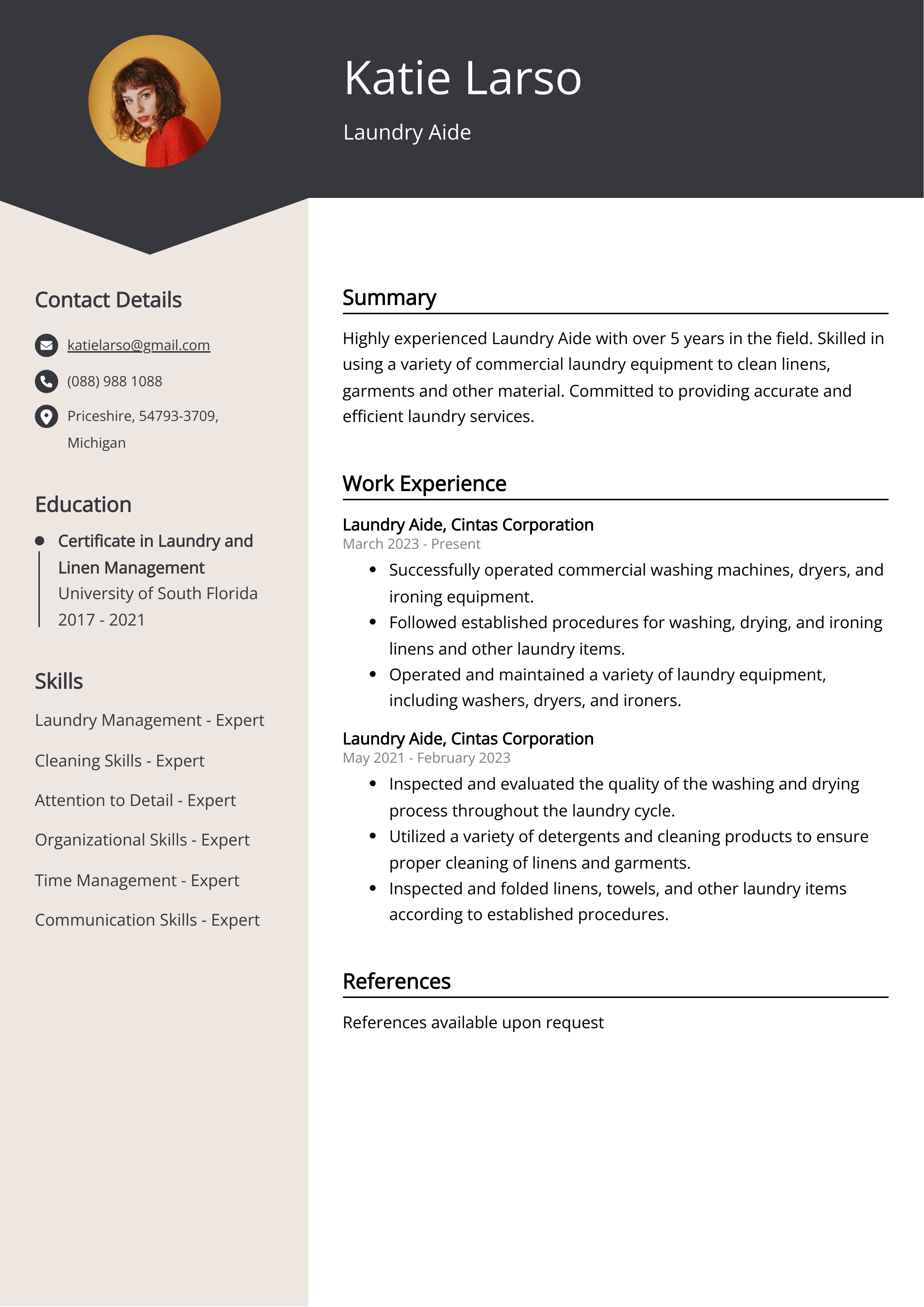 Laundry Aide CV Example