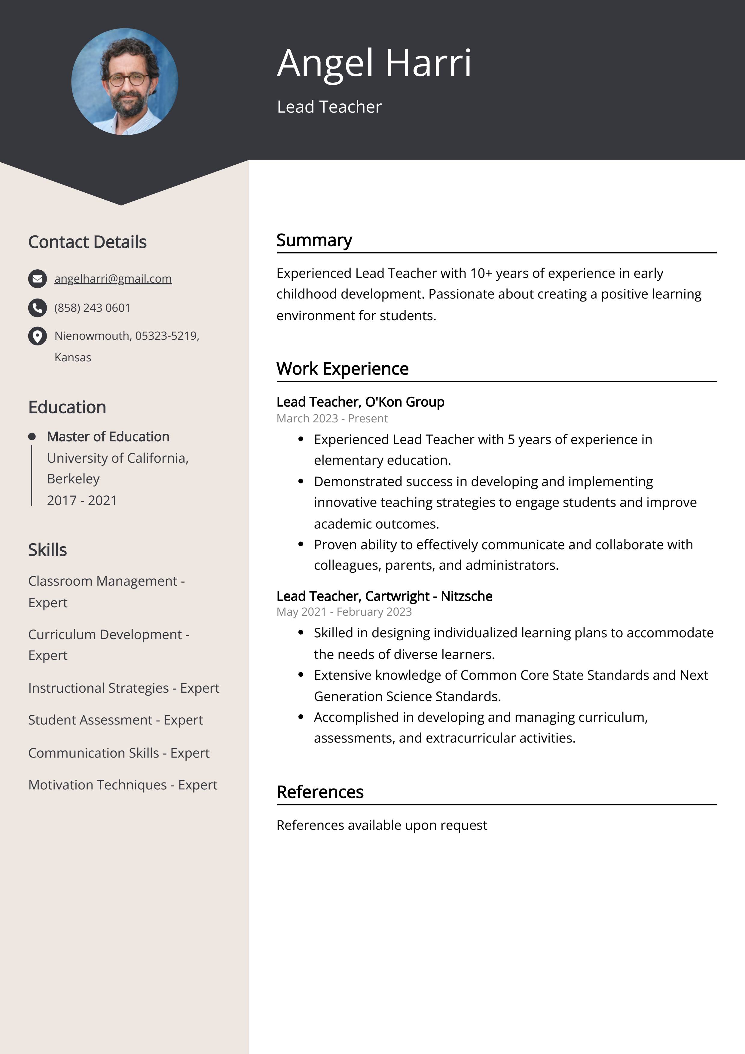 Lead Teacher CV Example