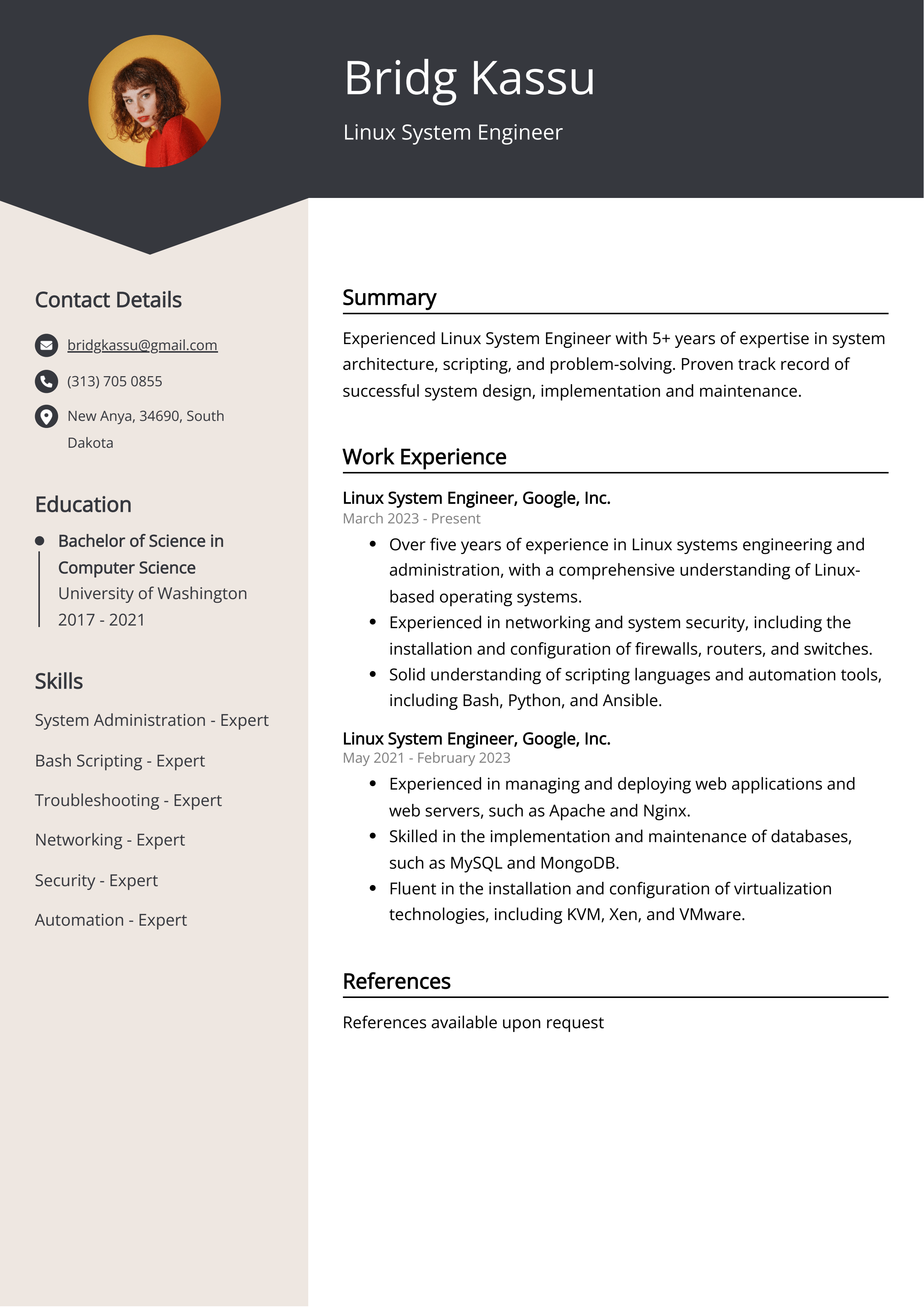 Linux System Engineer CV Example