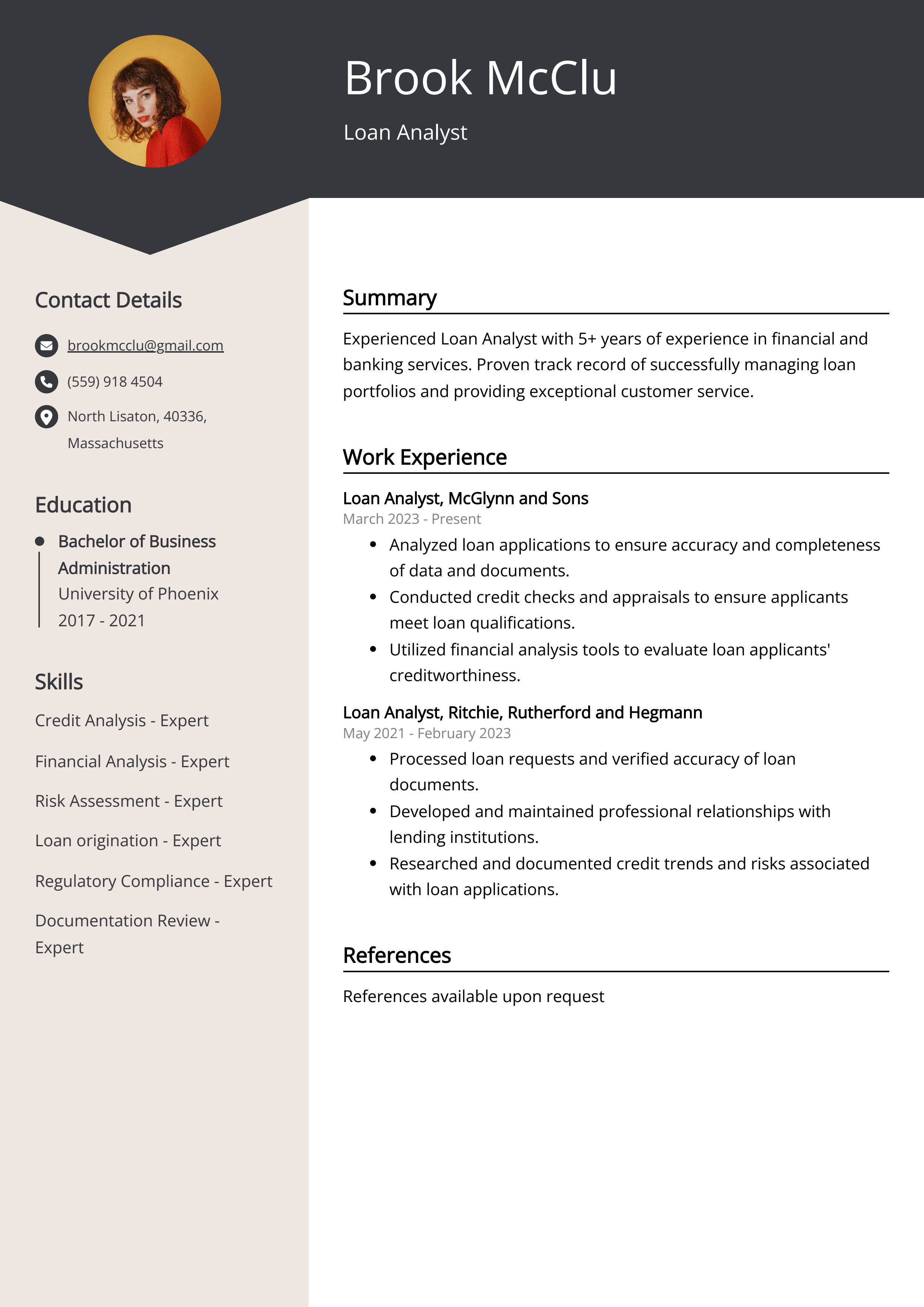 Loan Analyst CV Example