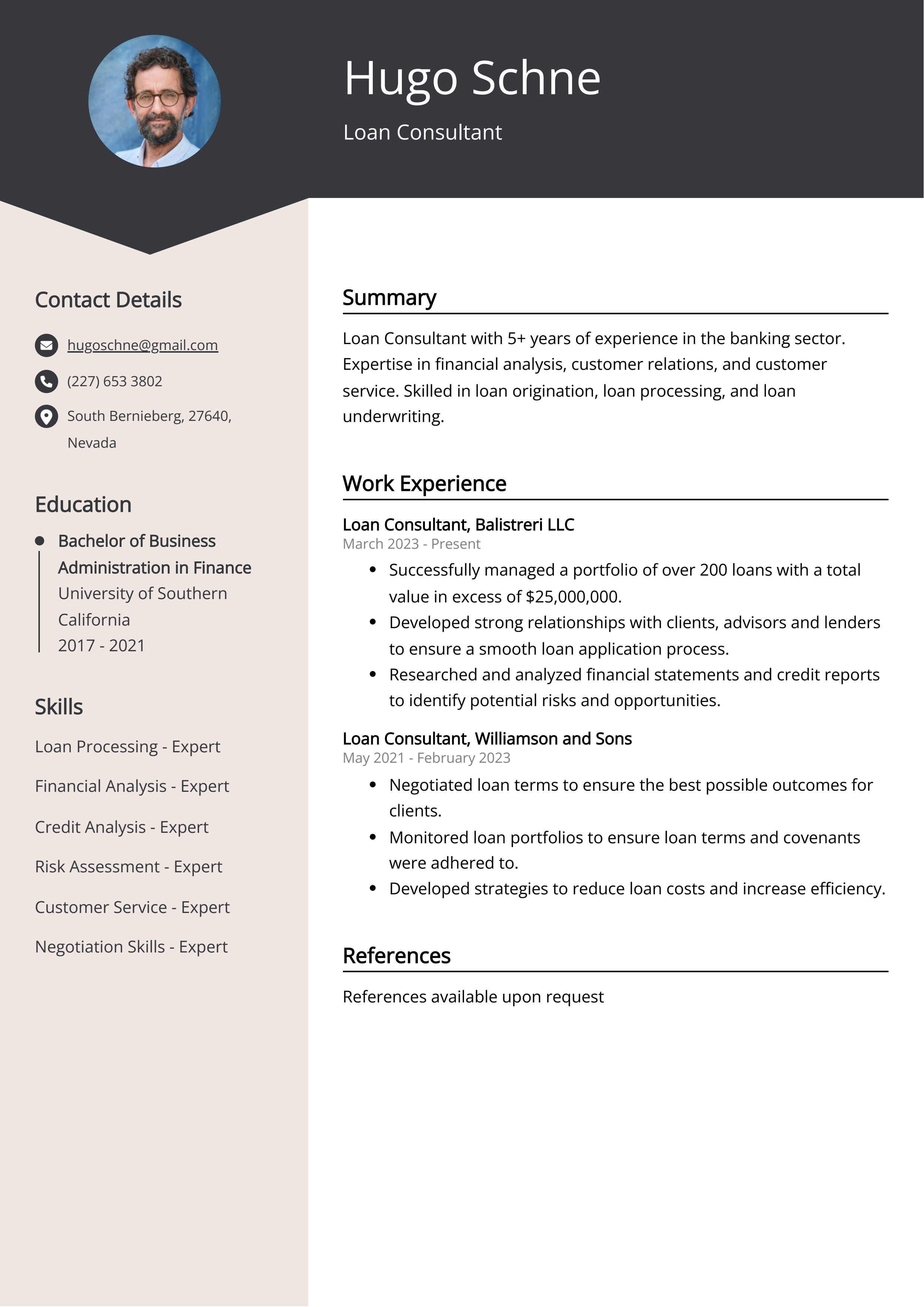 Loan Consultant CV Example