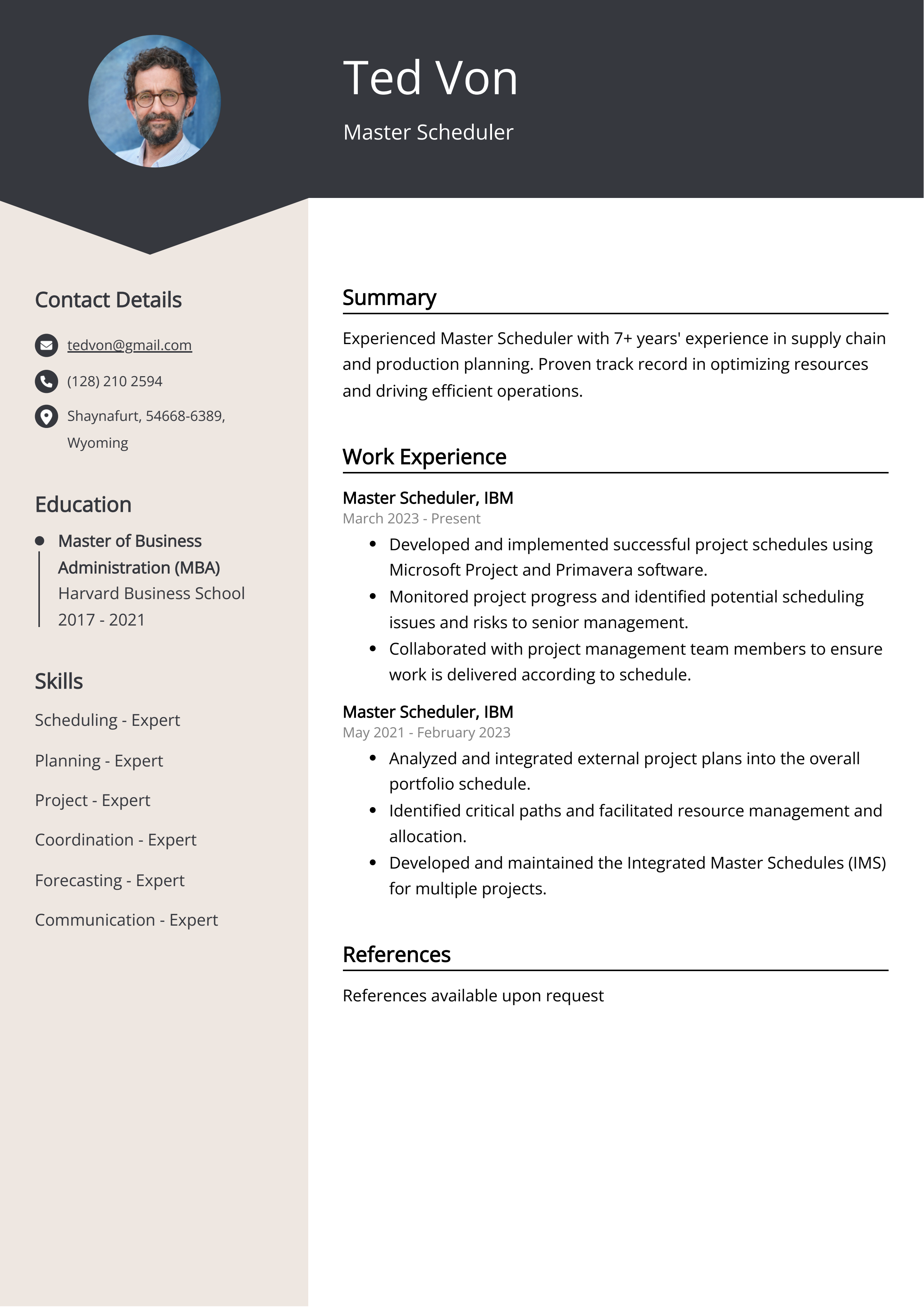 Master Scheduler CV Example