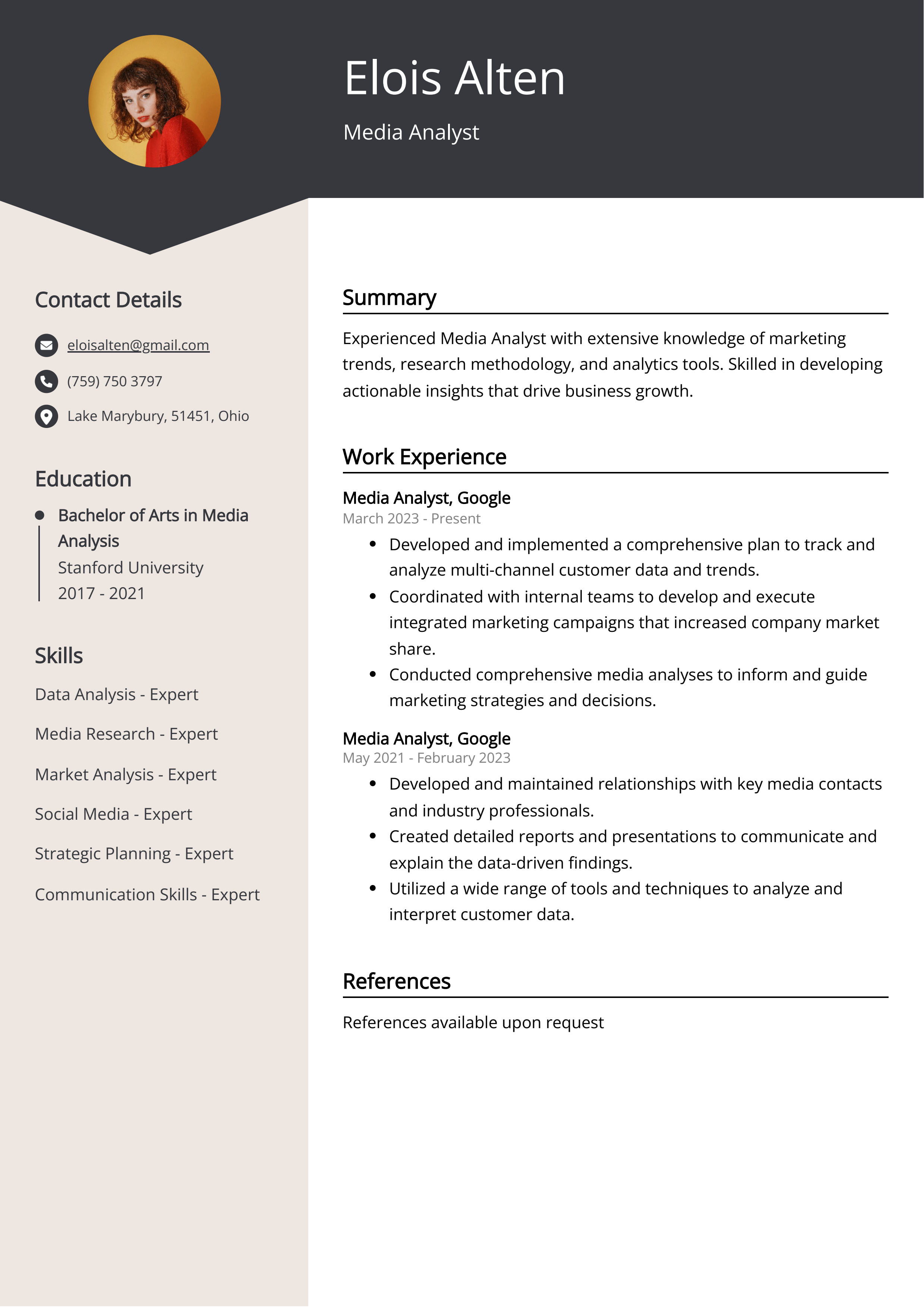 Media Analyst CV: Job Description Sample Guide