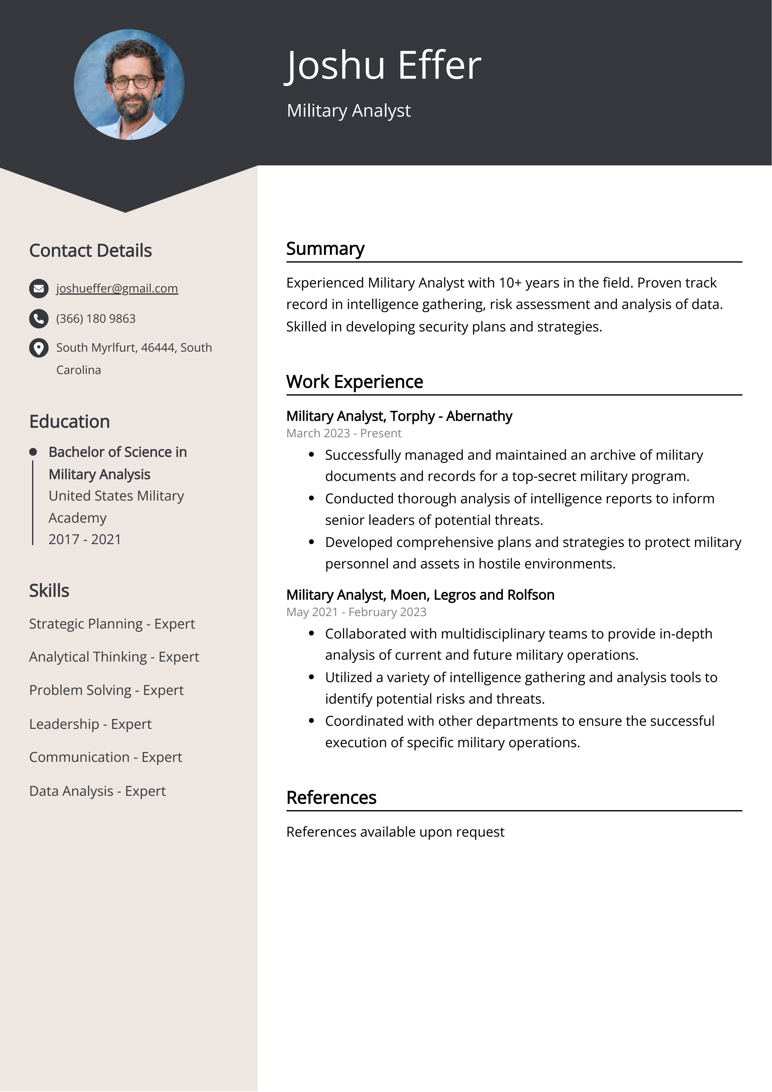 Military Analyst CV Example