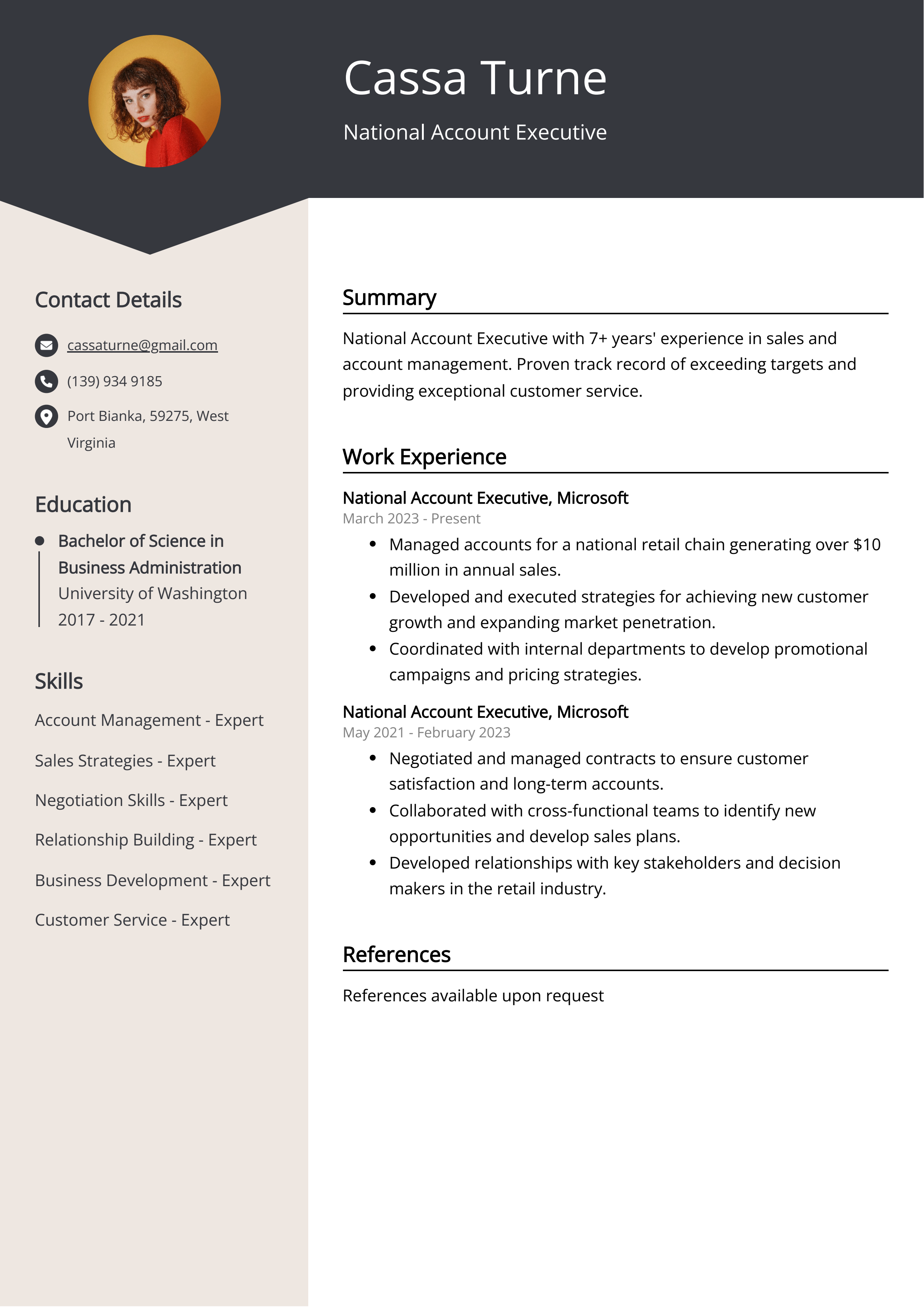 National Account Executive CV Example