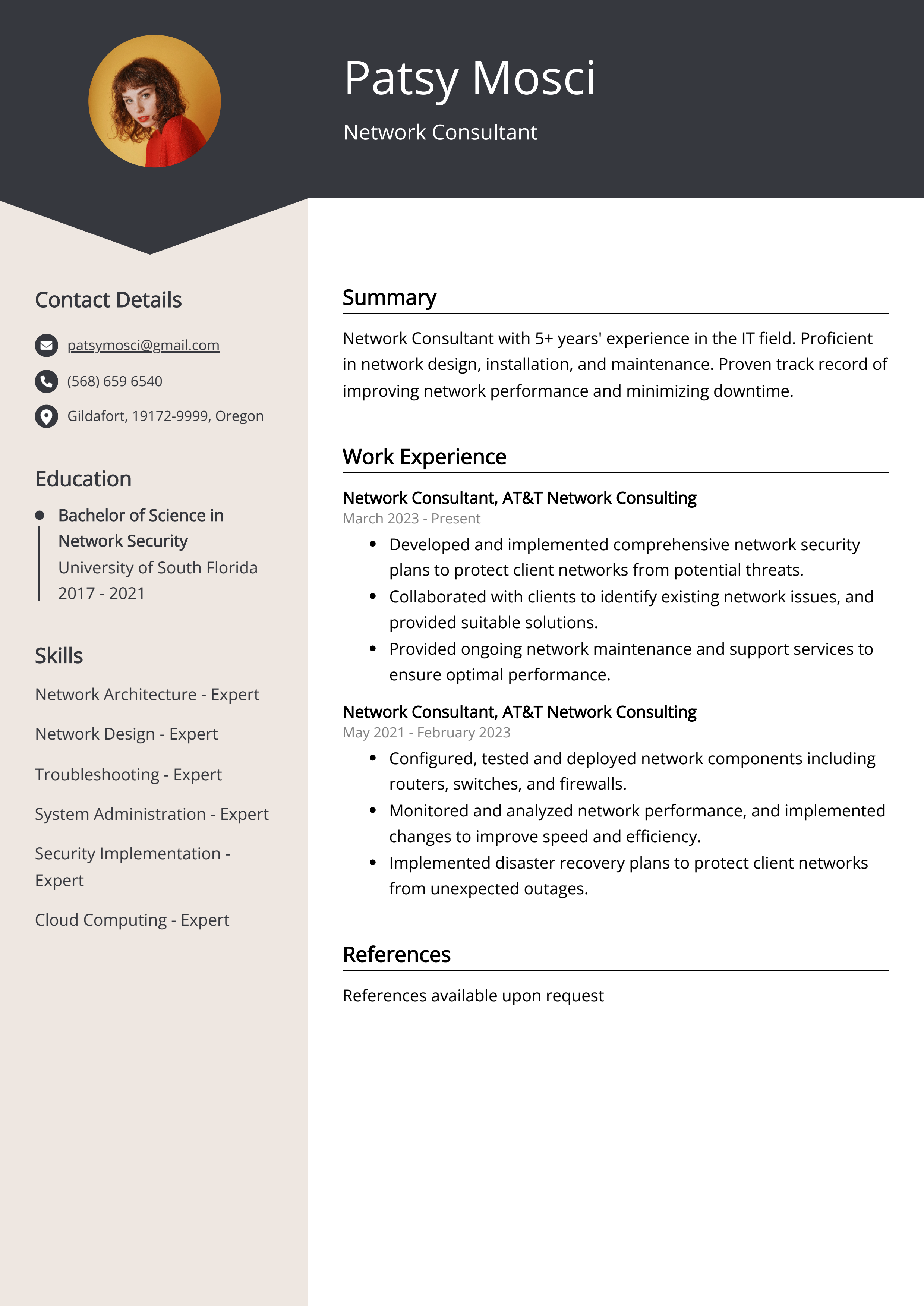 Network Consultant CV Example