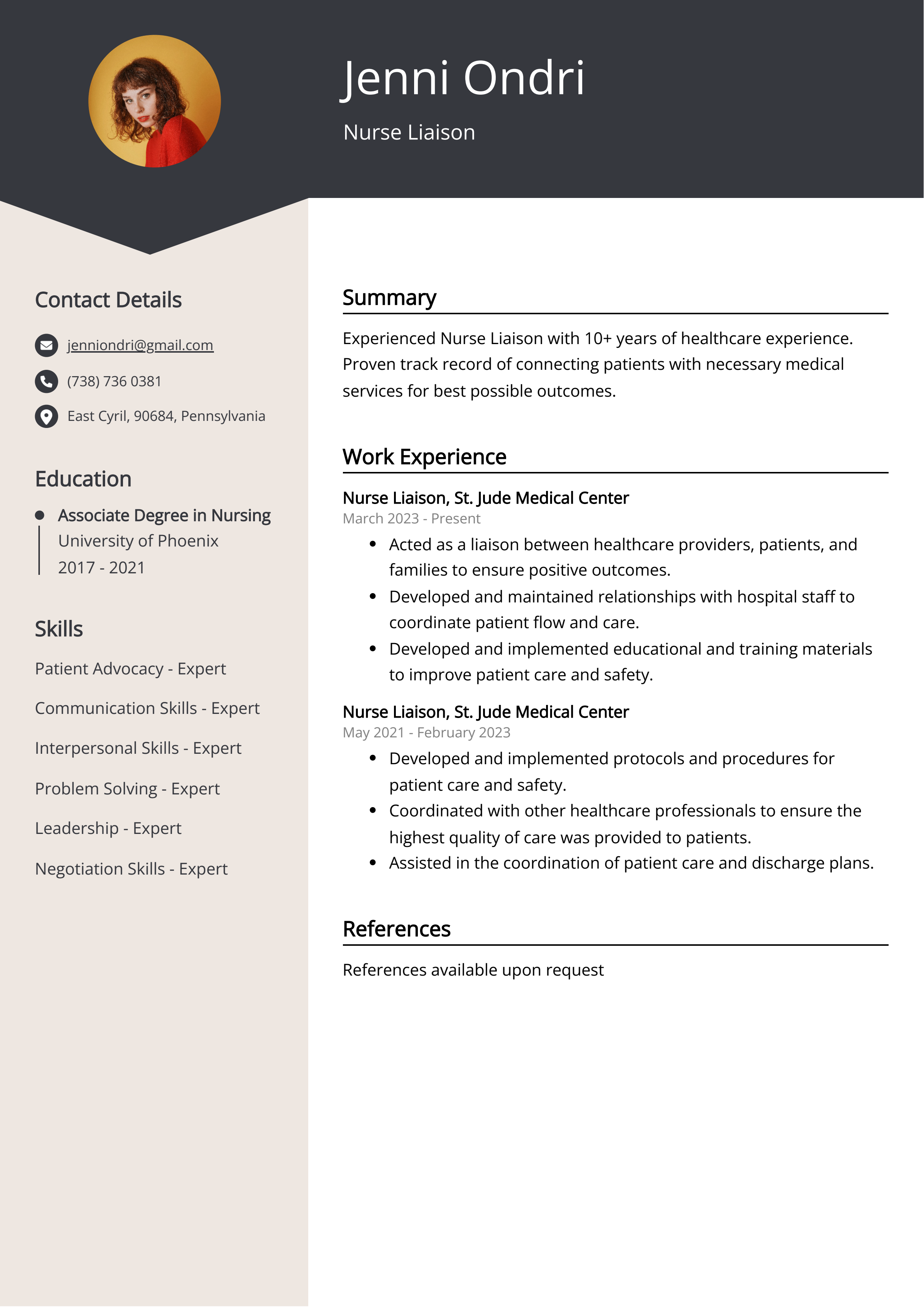 Nurse Liaison CV Example