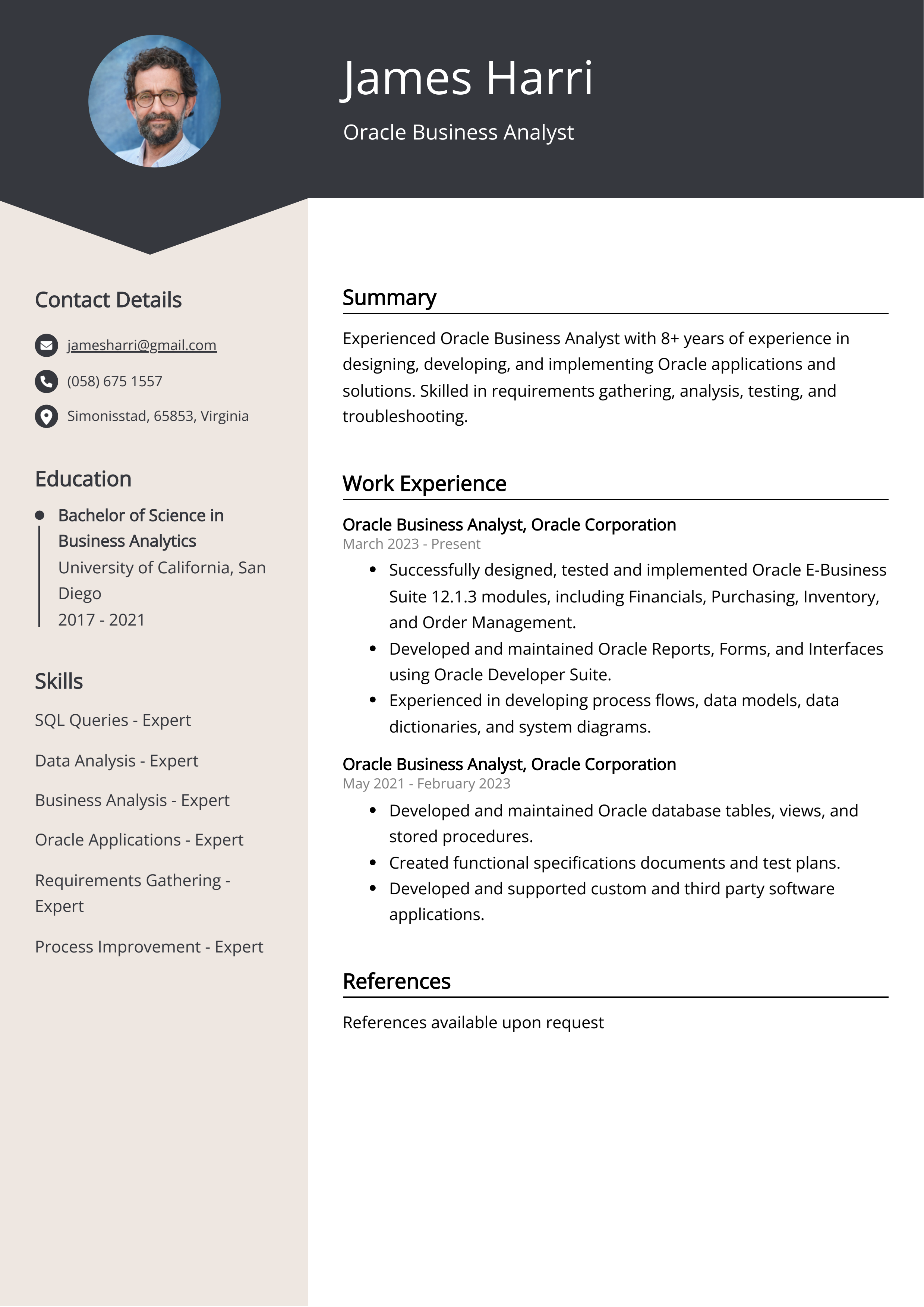 Oracle Business Analyst CV Example