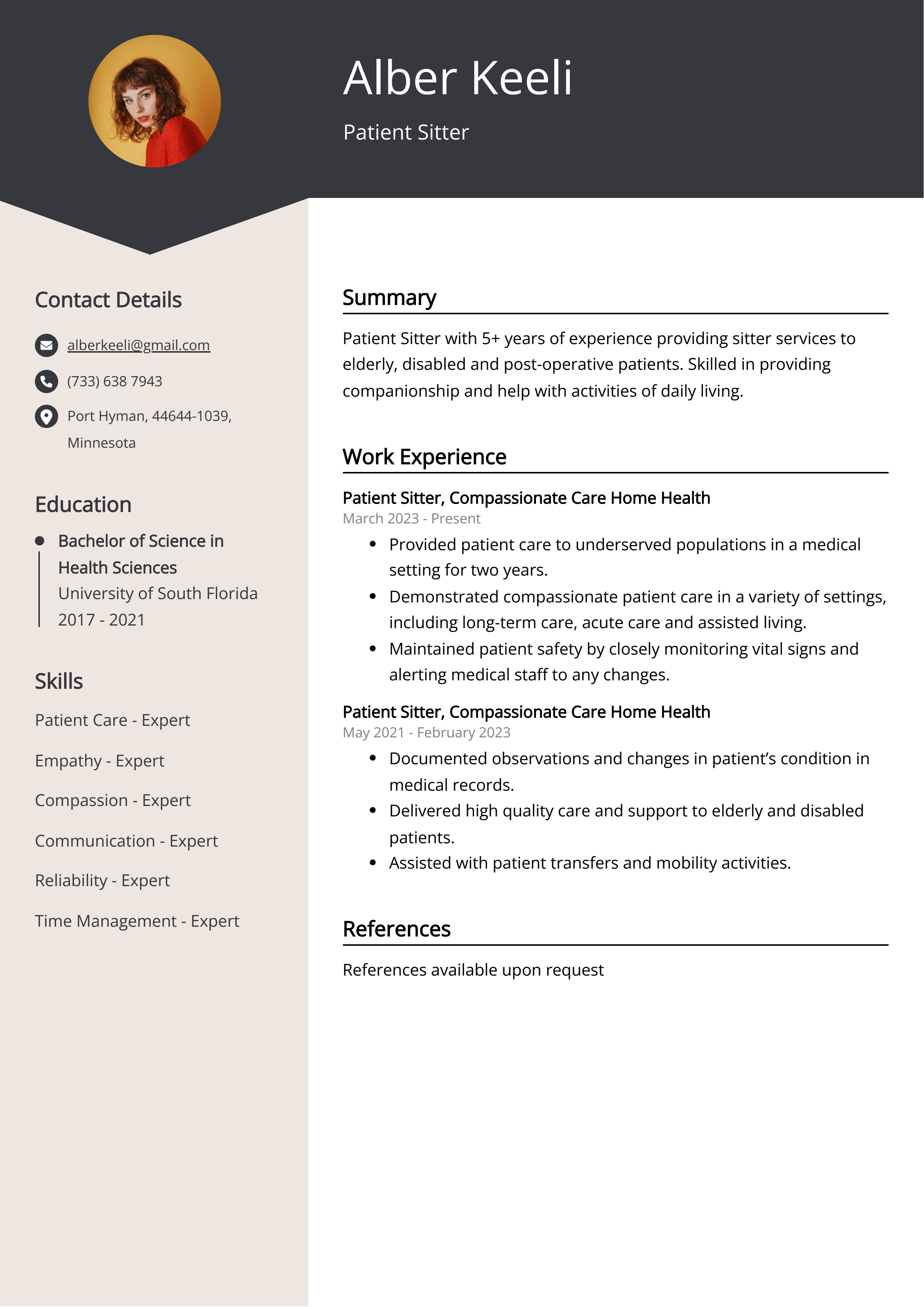 Patient Sitter CV Example