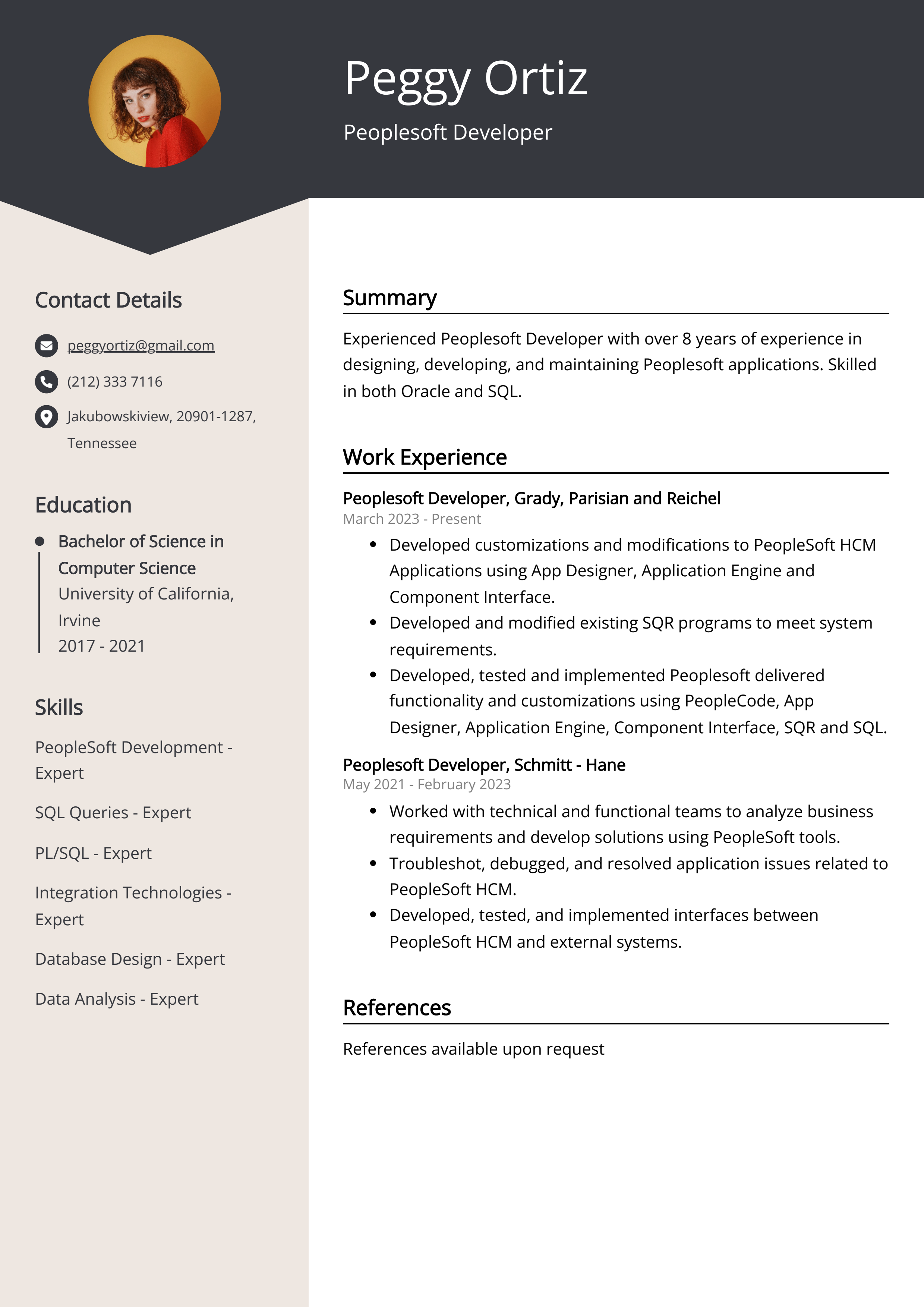 Peoplesoft Developer CV Example