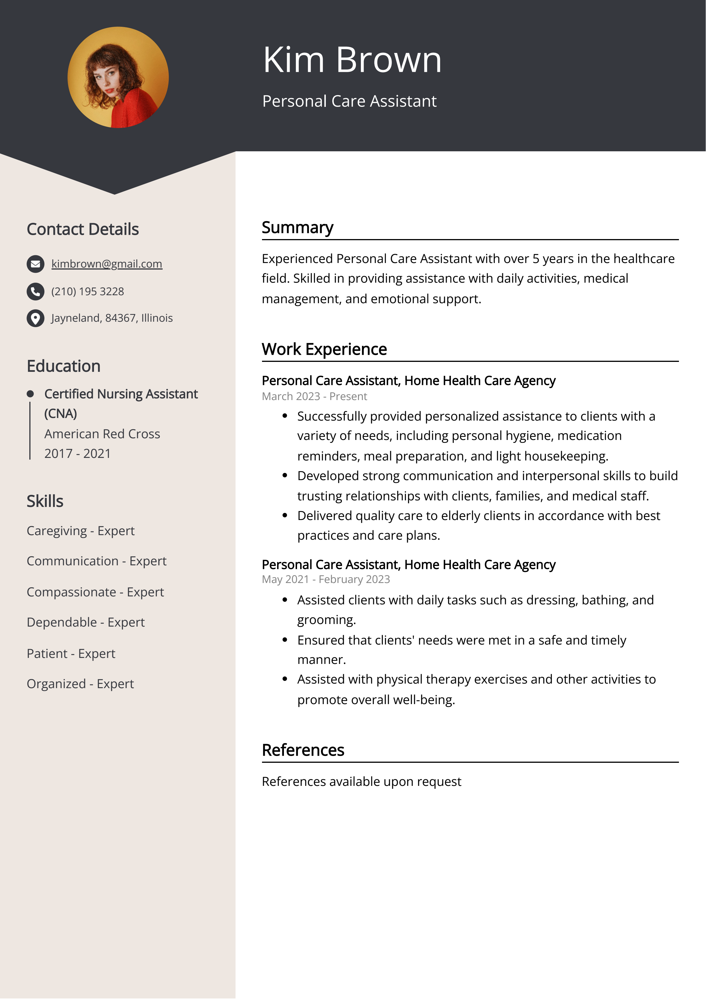 Personal Care Assistant CV Example