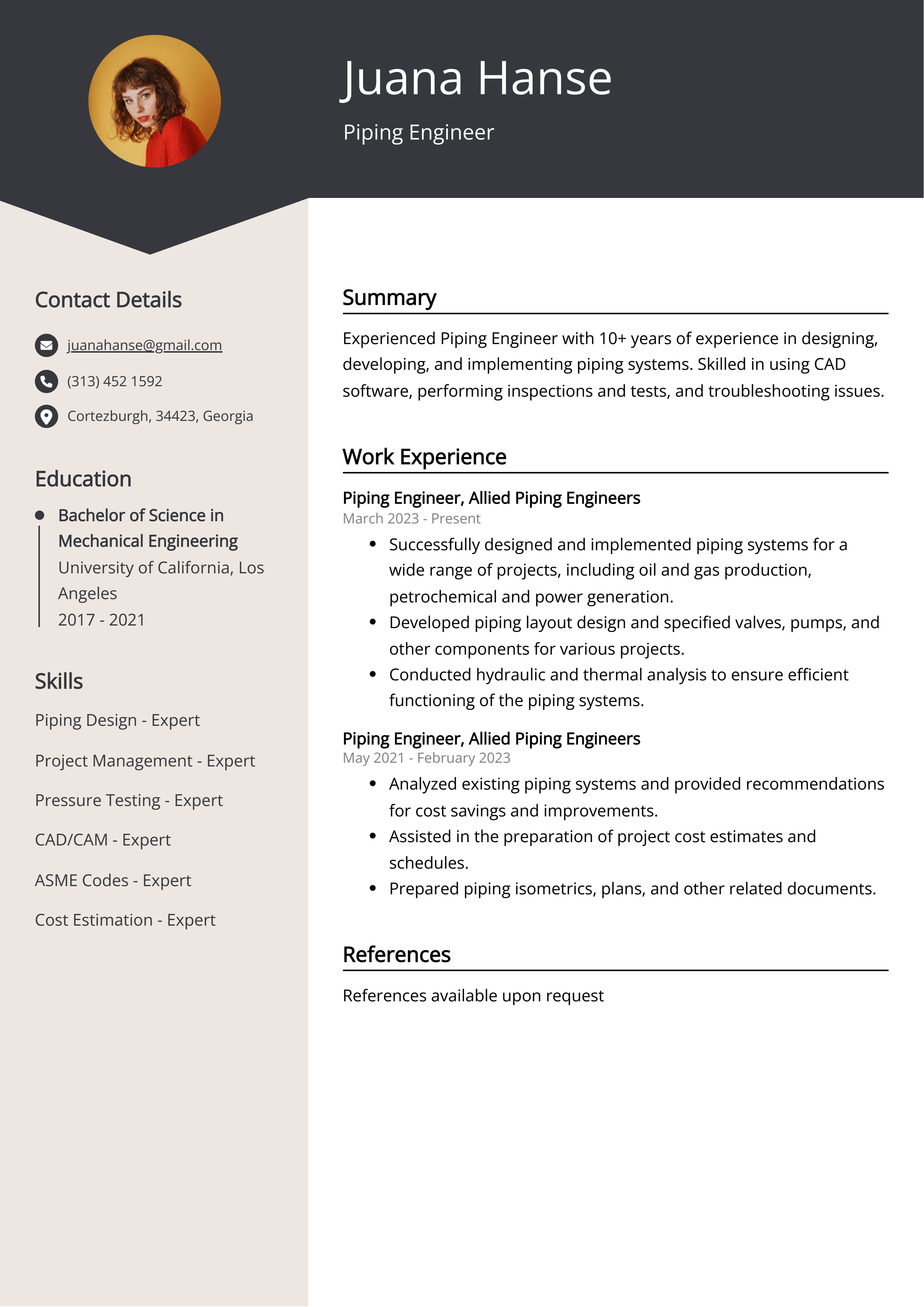 Piping Engineer CV Example