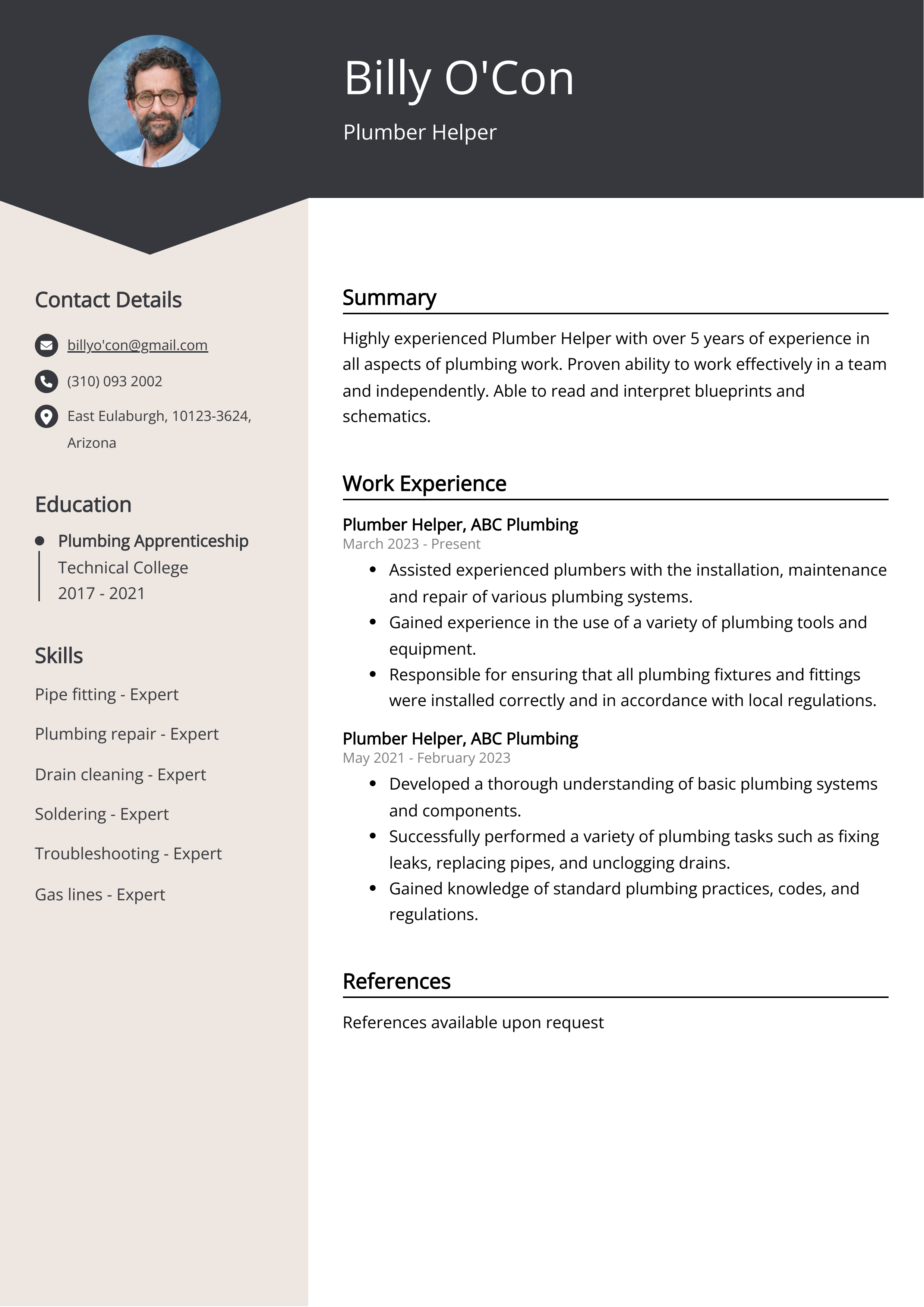 Plumber Helper CV Example