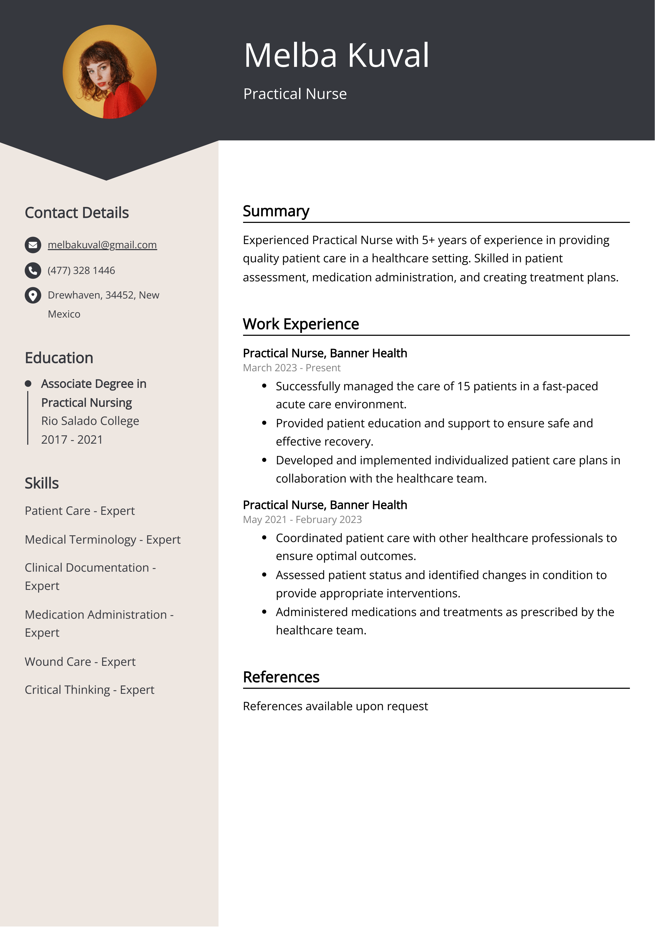 Practical Nurse CV Example