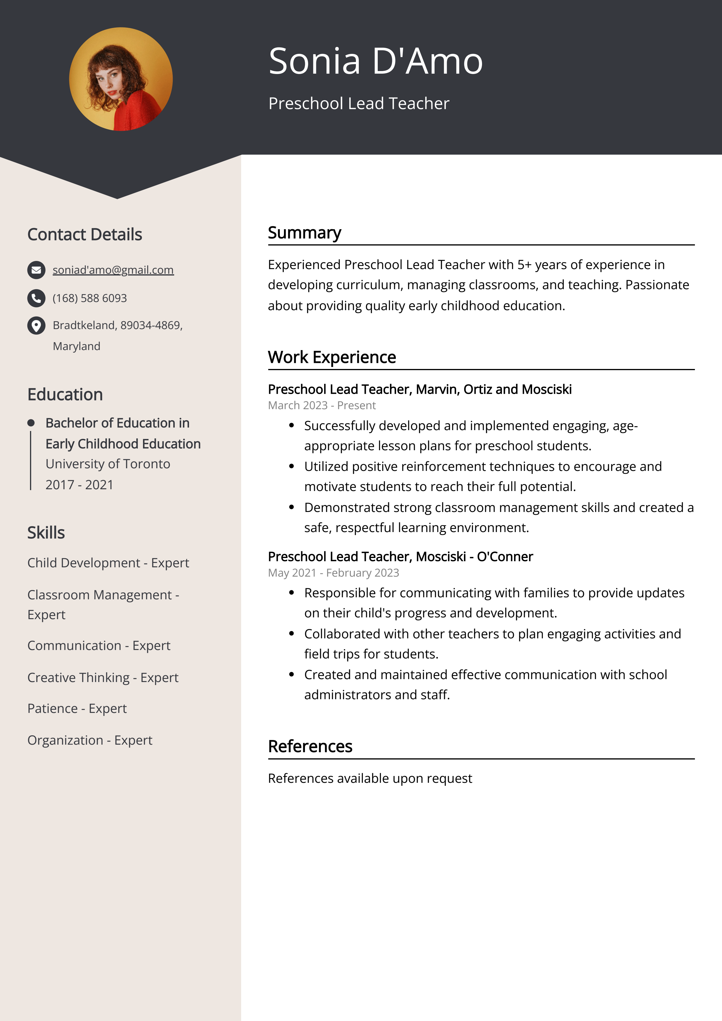 Preschool Lead Teacher CV Example