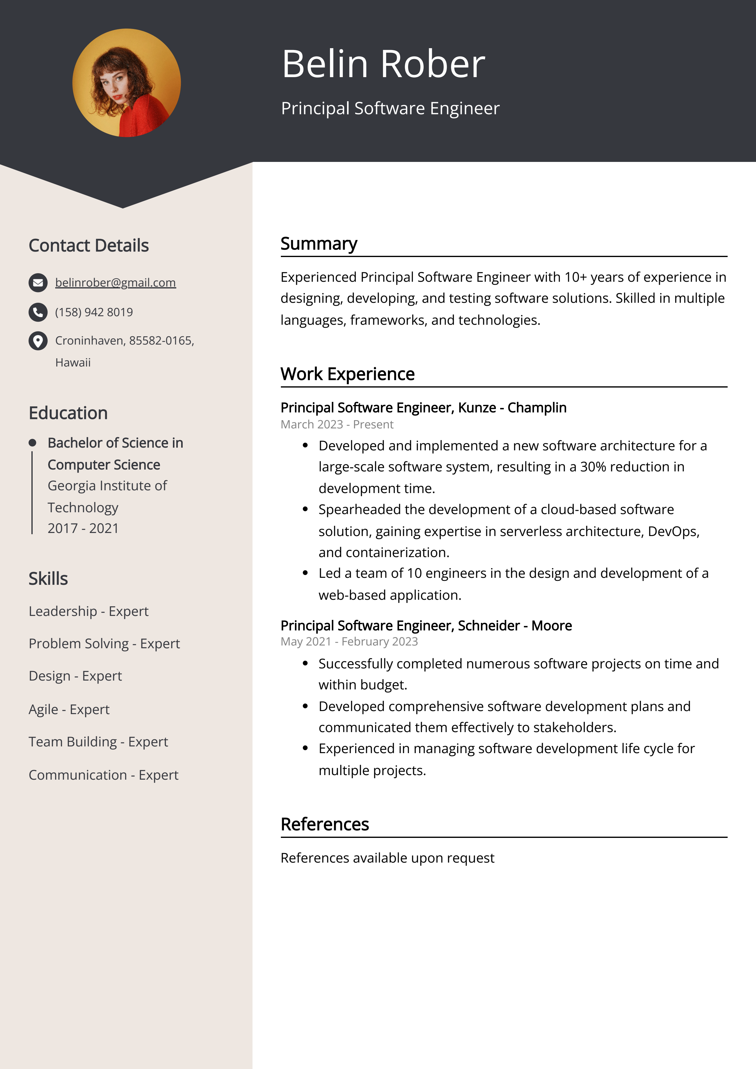 Principal Software Engineer CV Example
