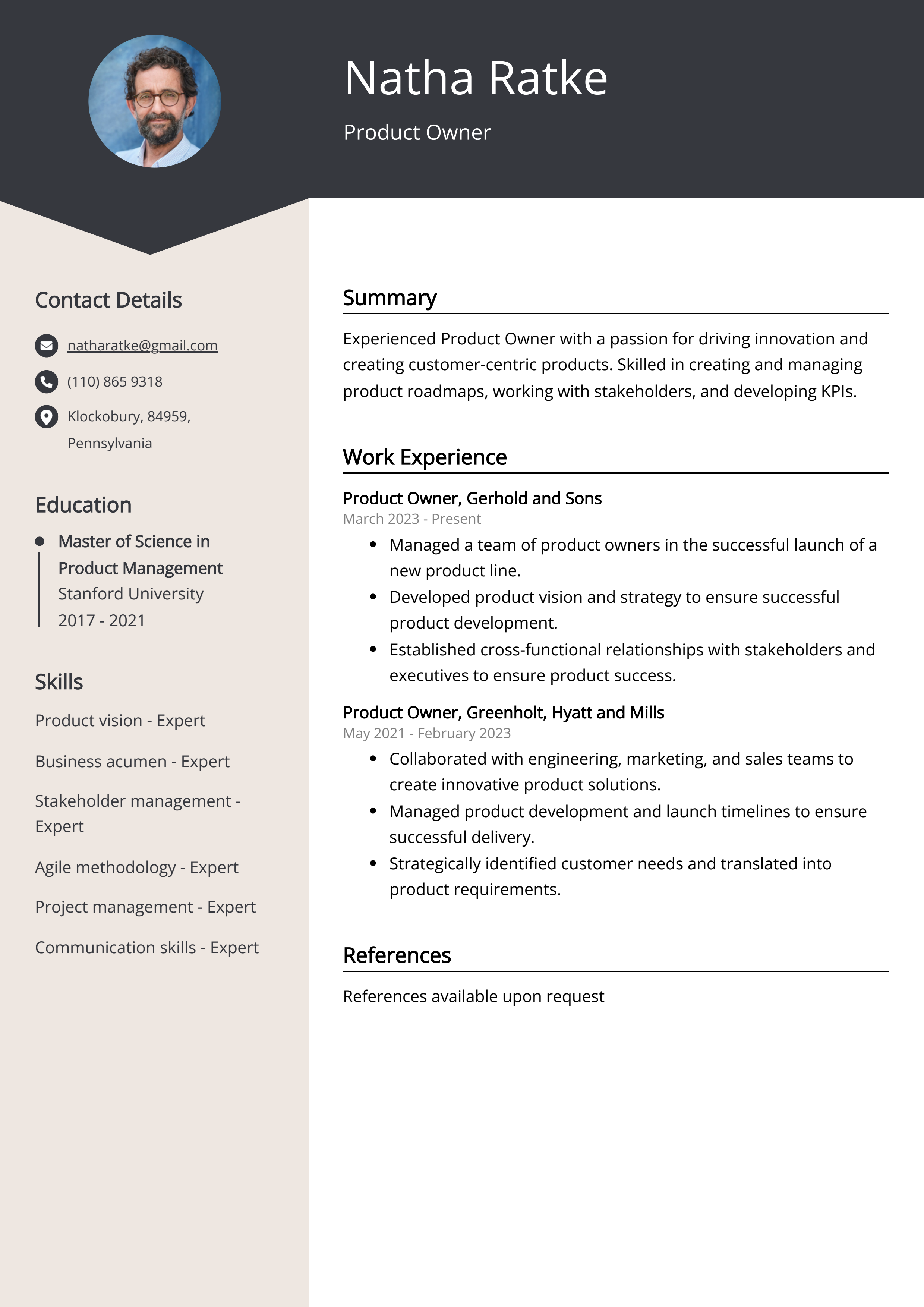 Product Owner CV Example