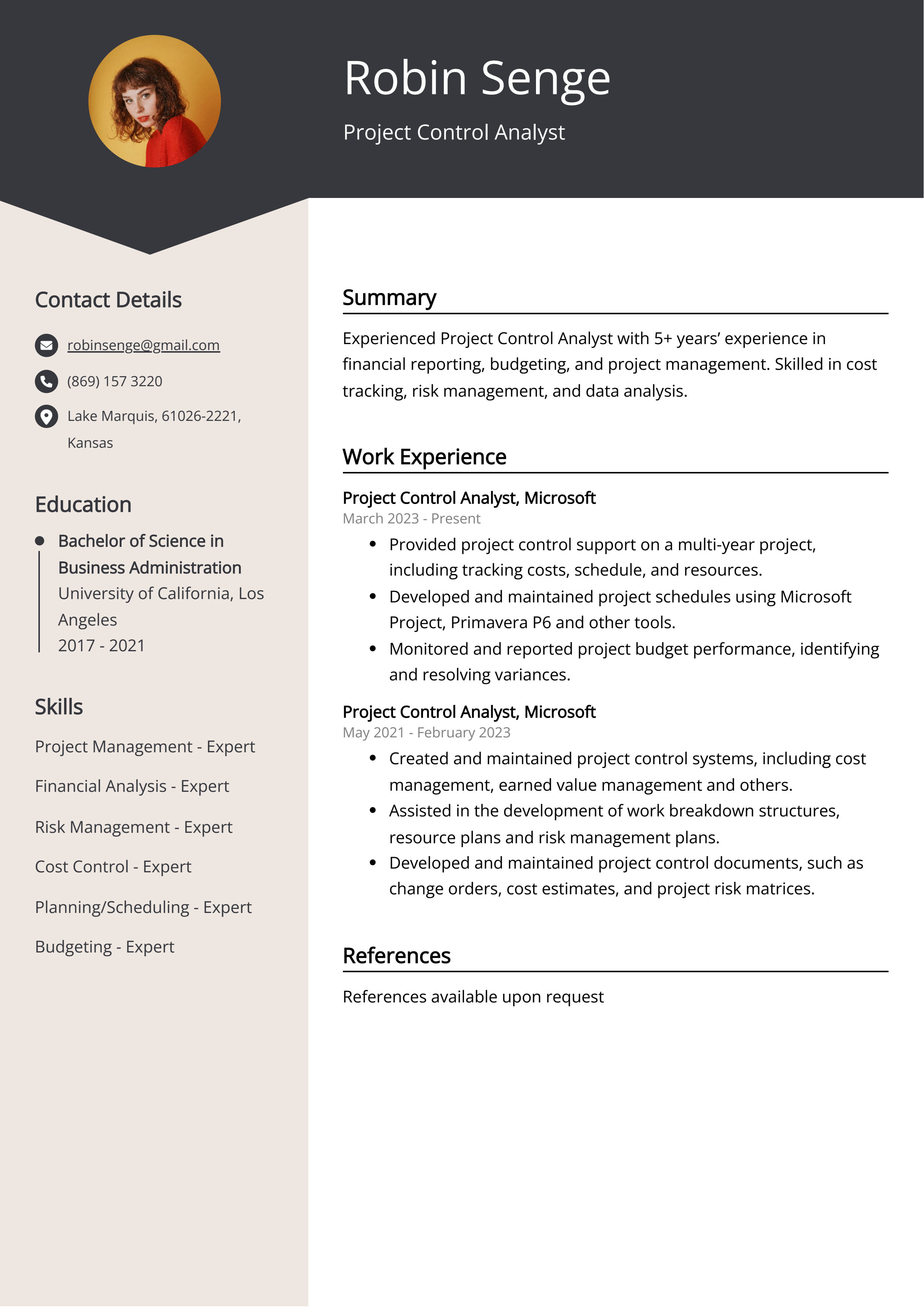 Project Control Analyst CV Example