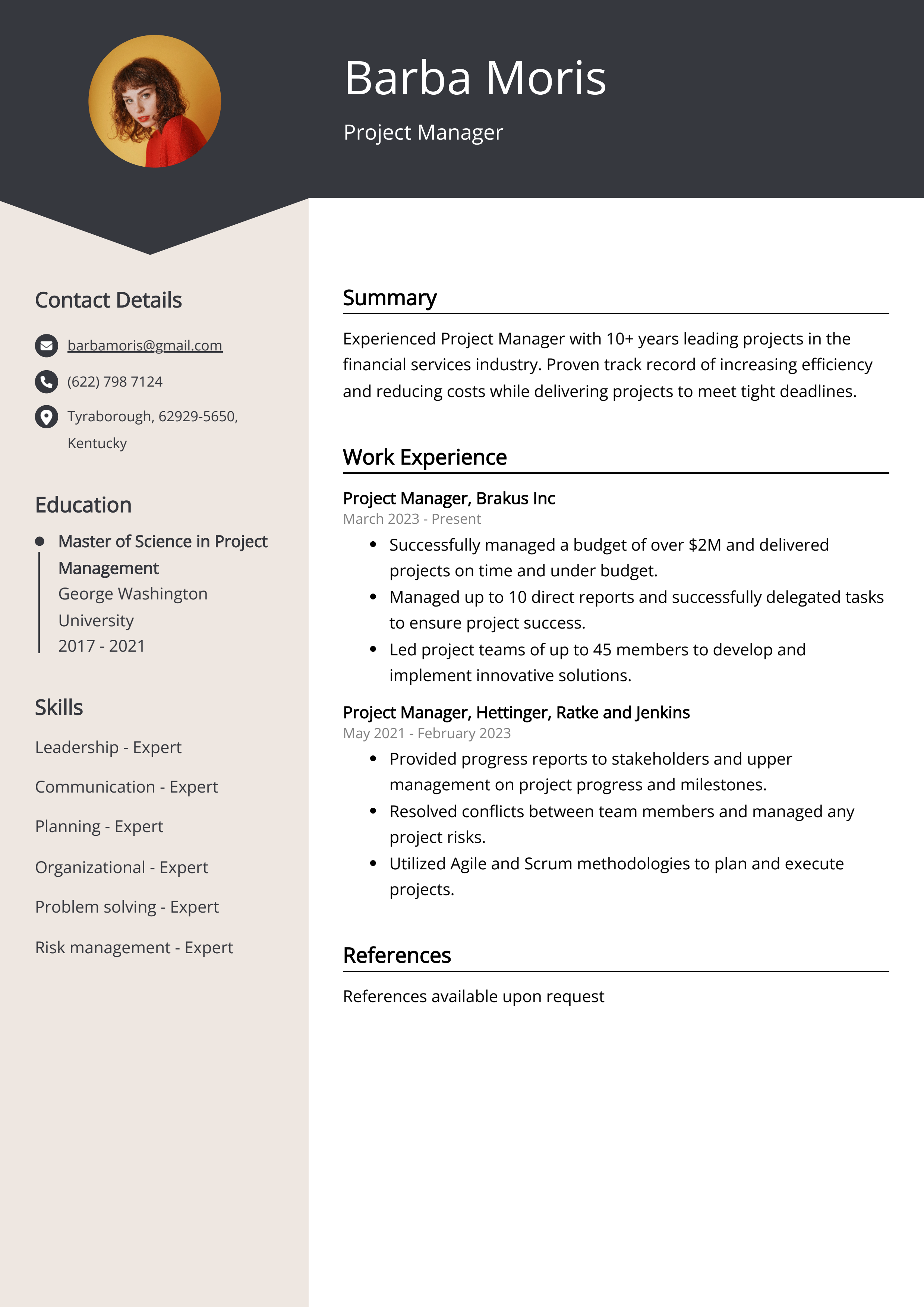 Project Manager CV Example