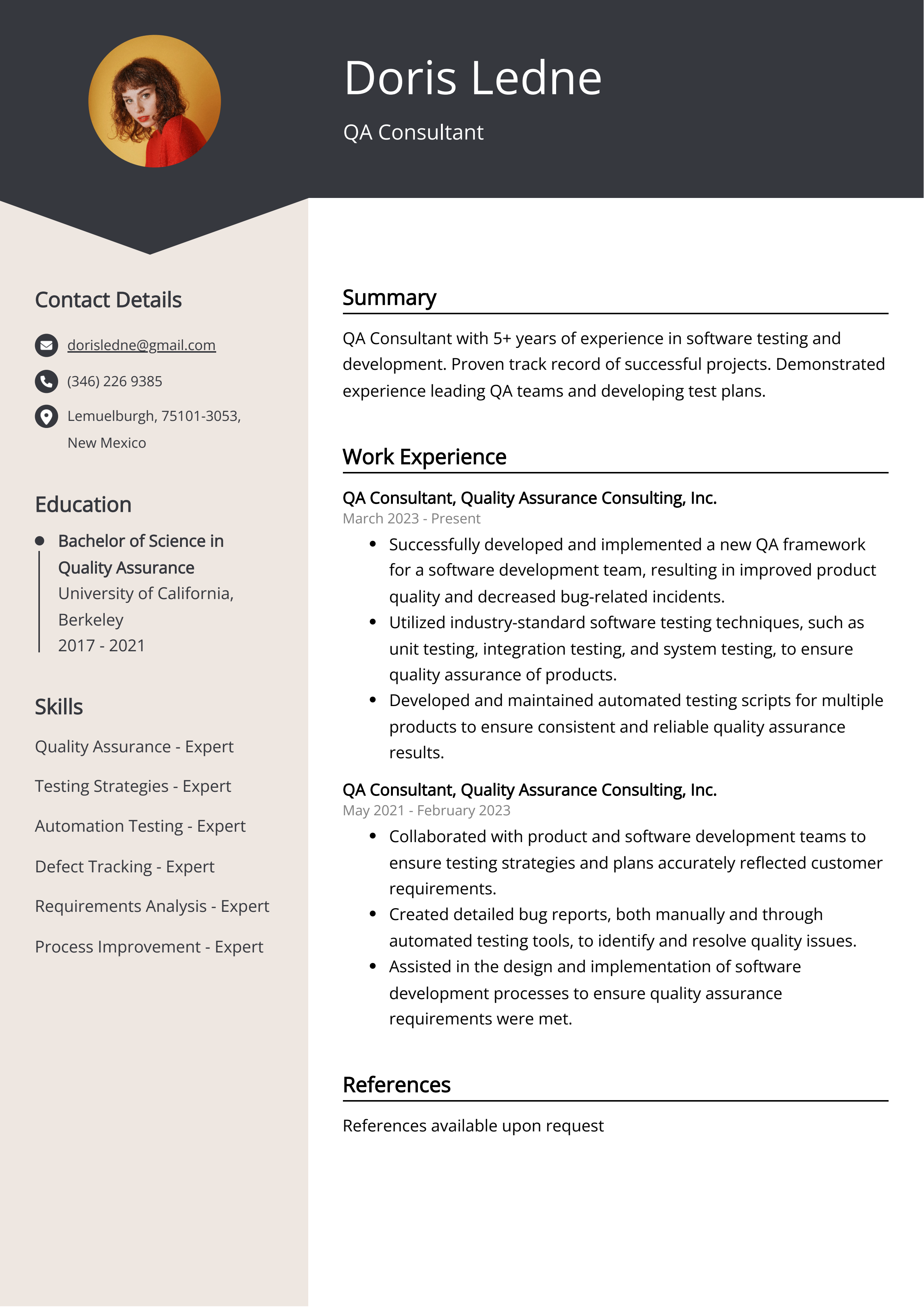 QA Consultant CV Example