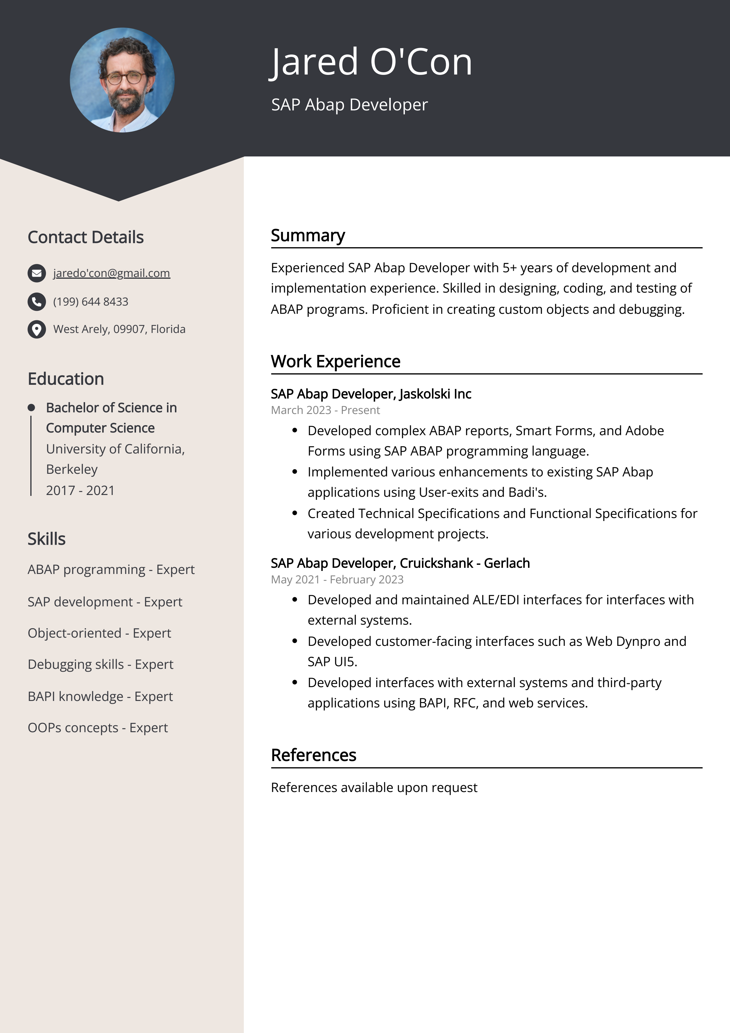 SAP Abap Developer CV Example