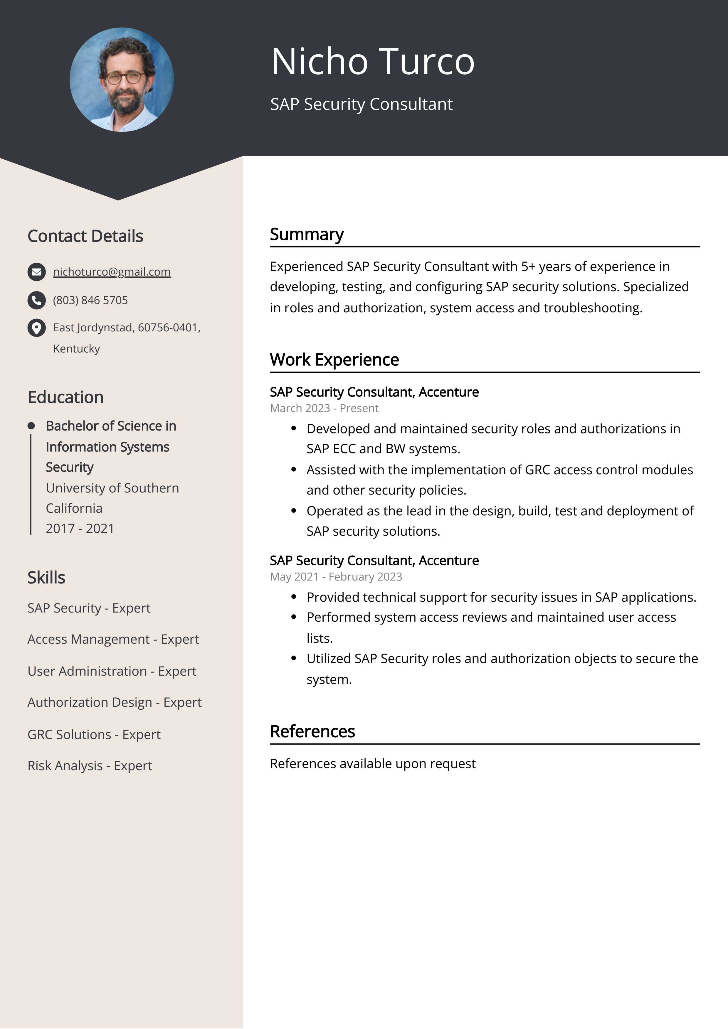 SAP Security Consultant CV Example