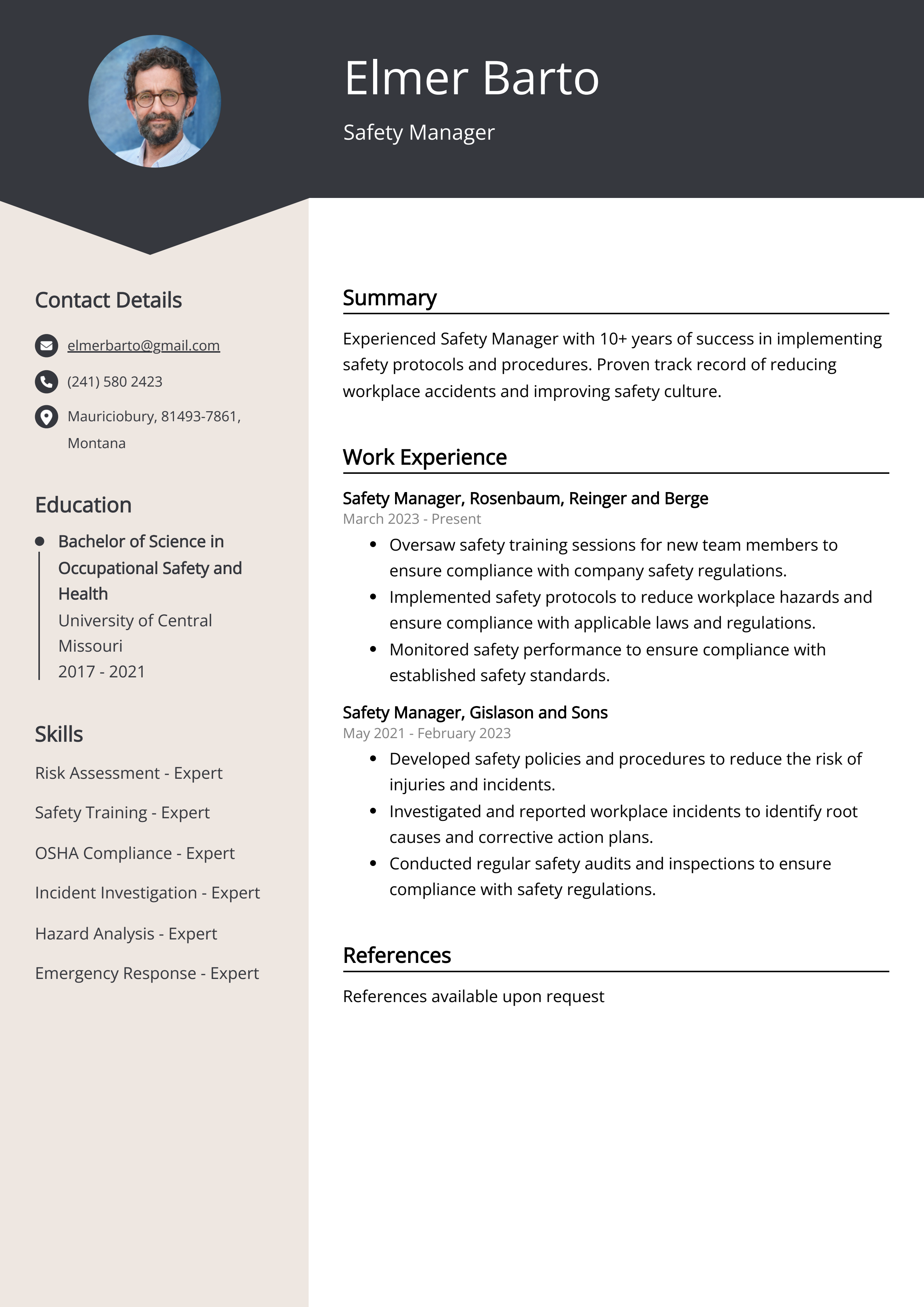 Safety Manager CV Example