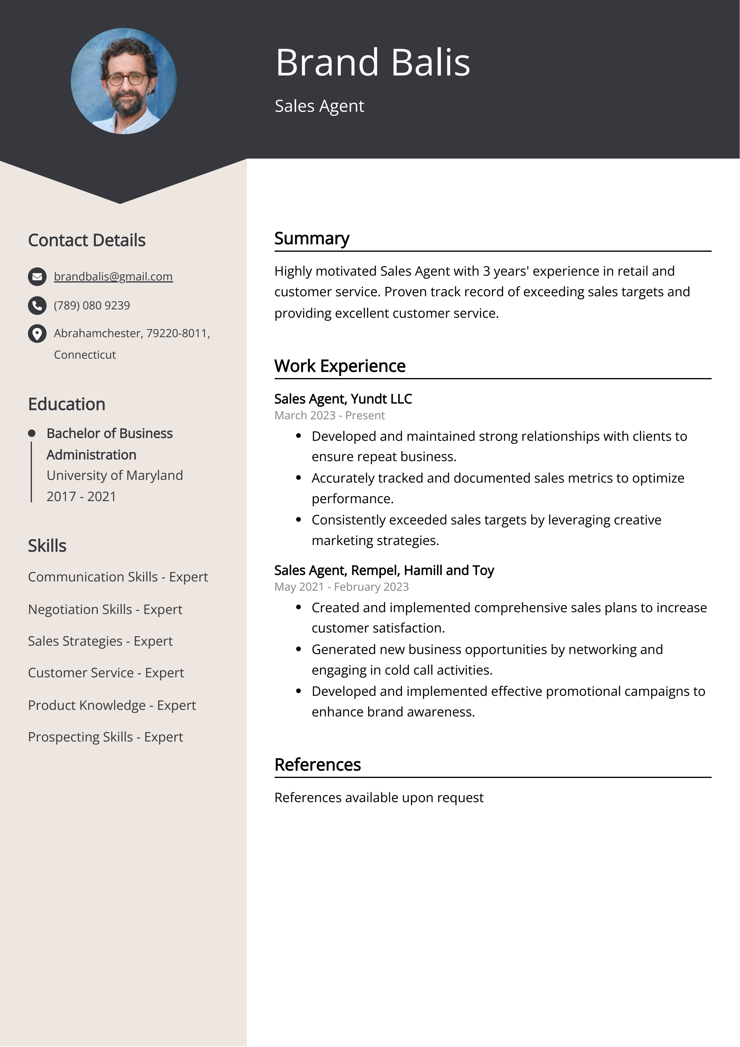 Sales Agent CV Example