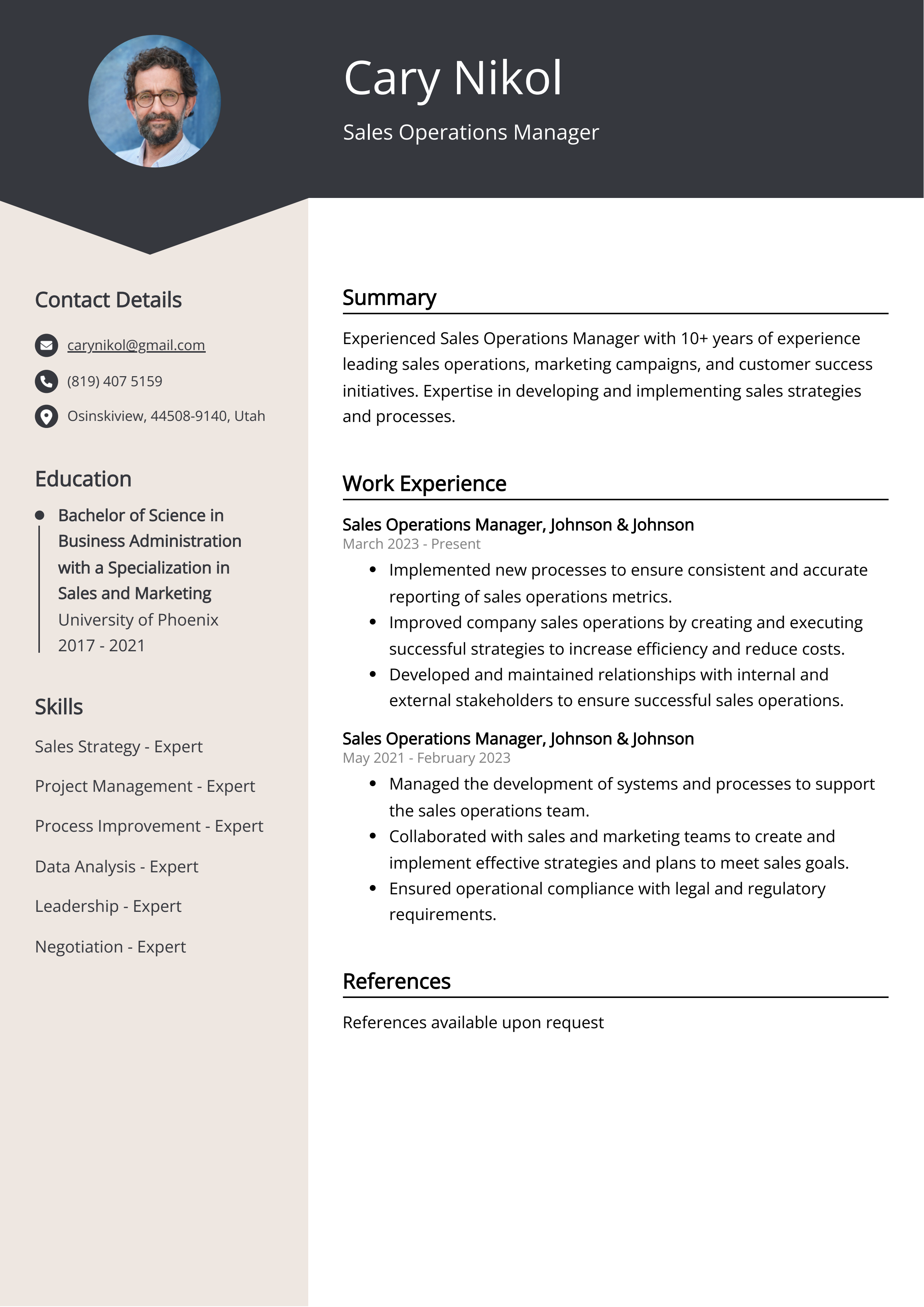 Sales Operations Manager CV Example