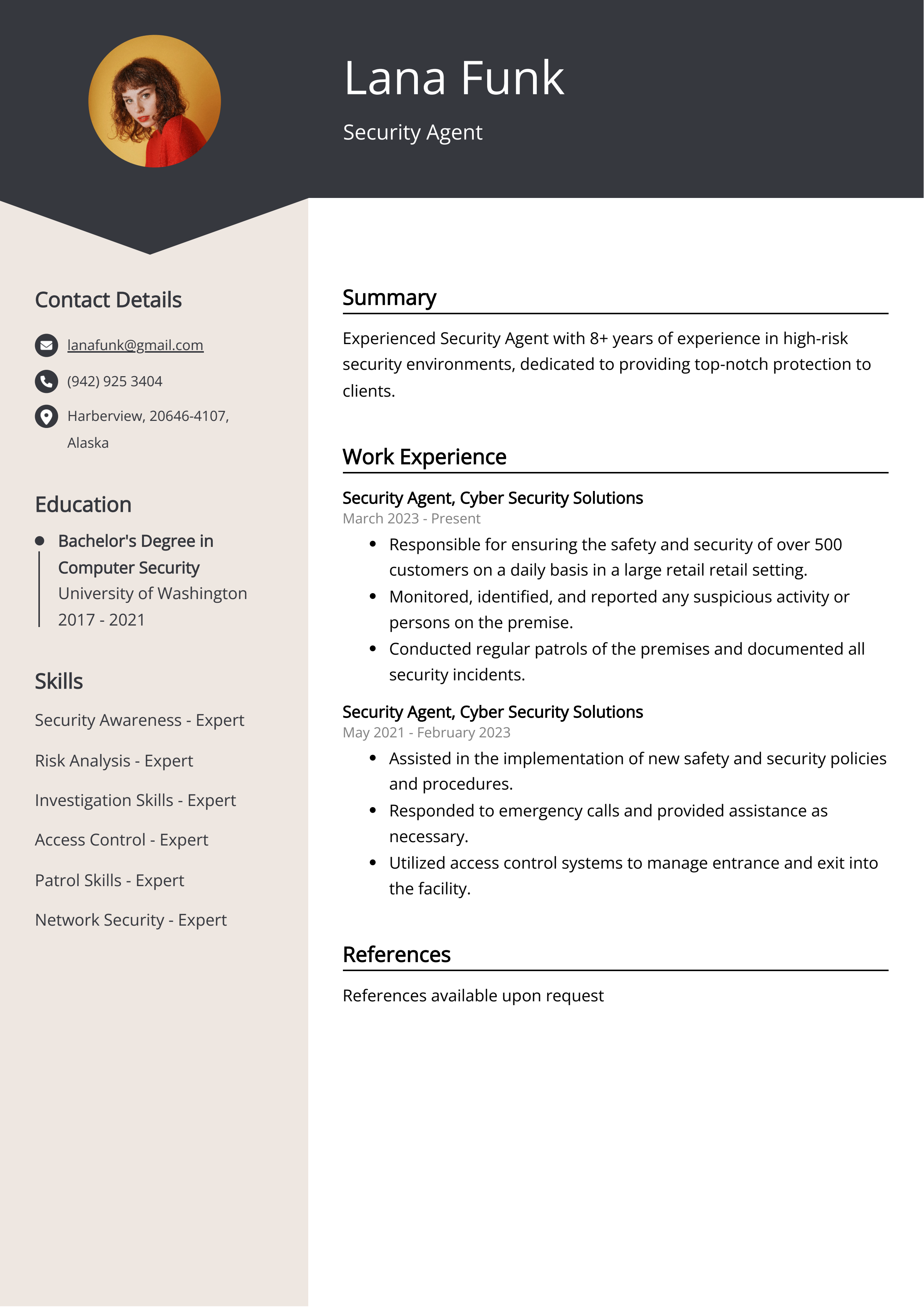 Security Agent CV Example