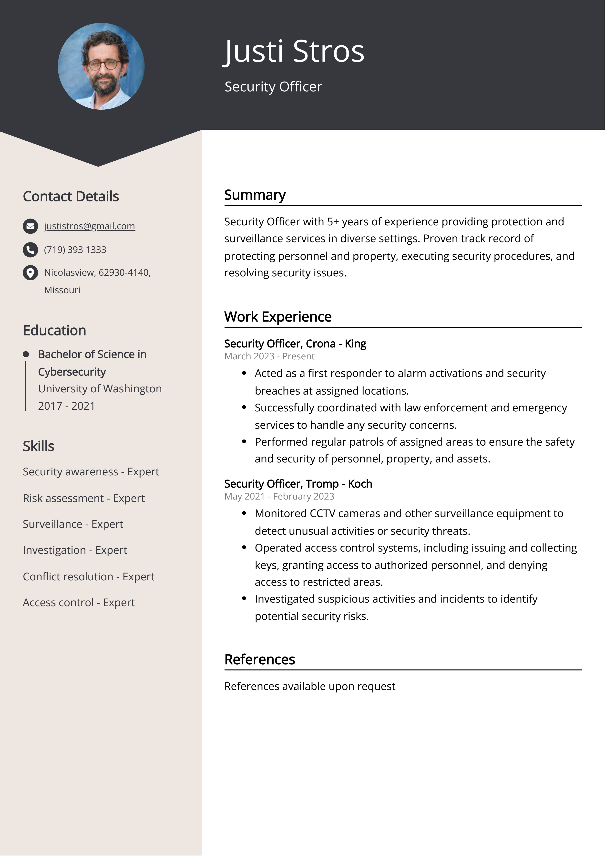 Security Officer CV Example