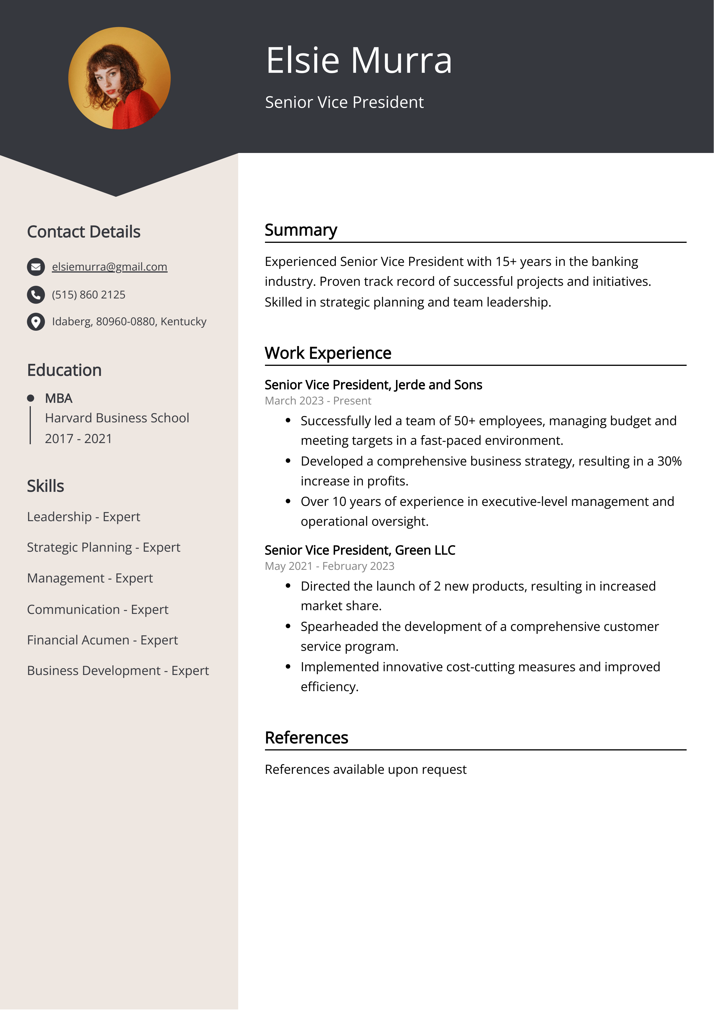 Senior Vice President CV Example