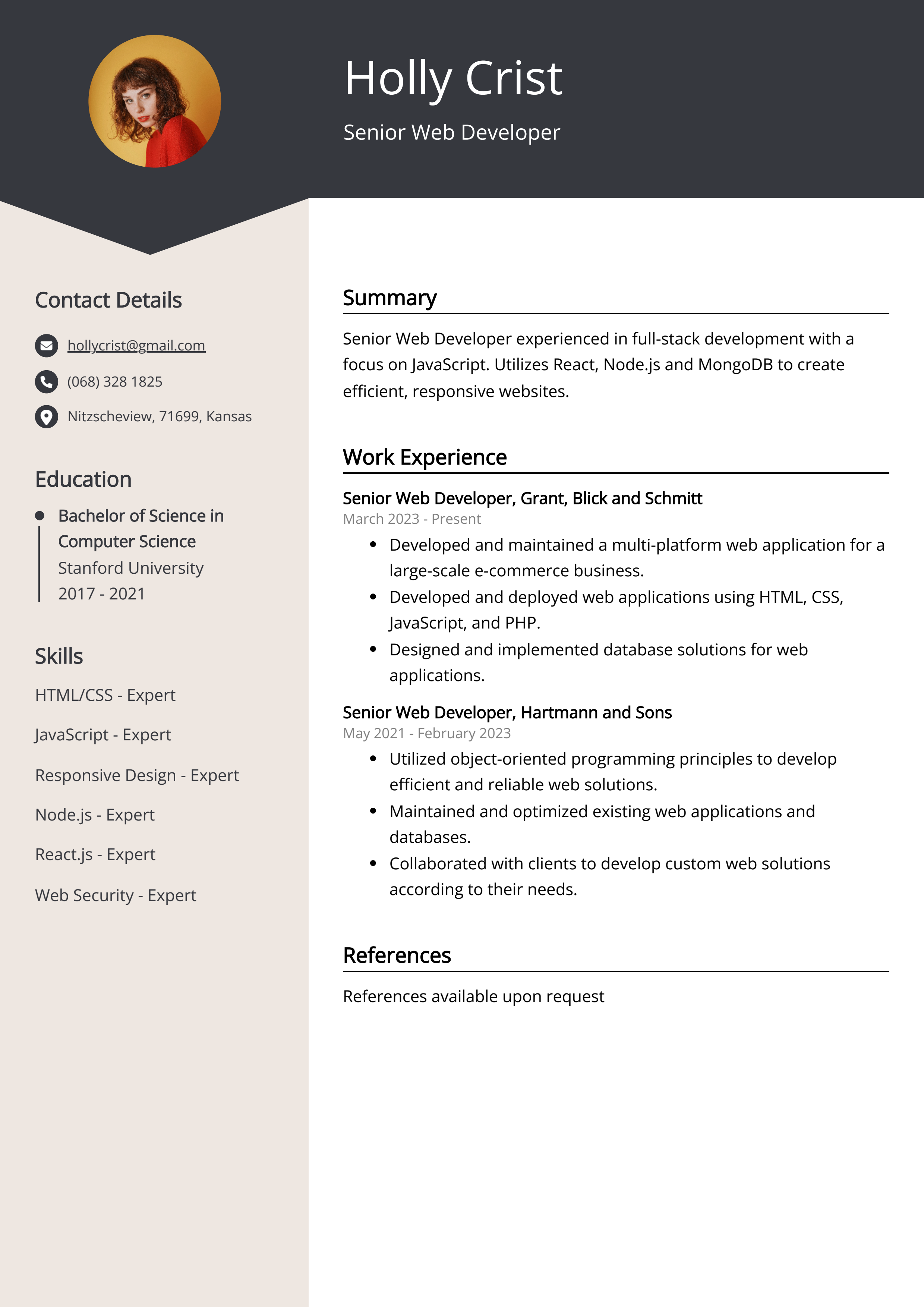 Senior Web Developer CV Example