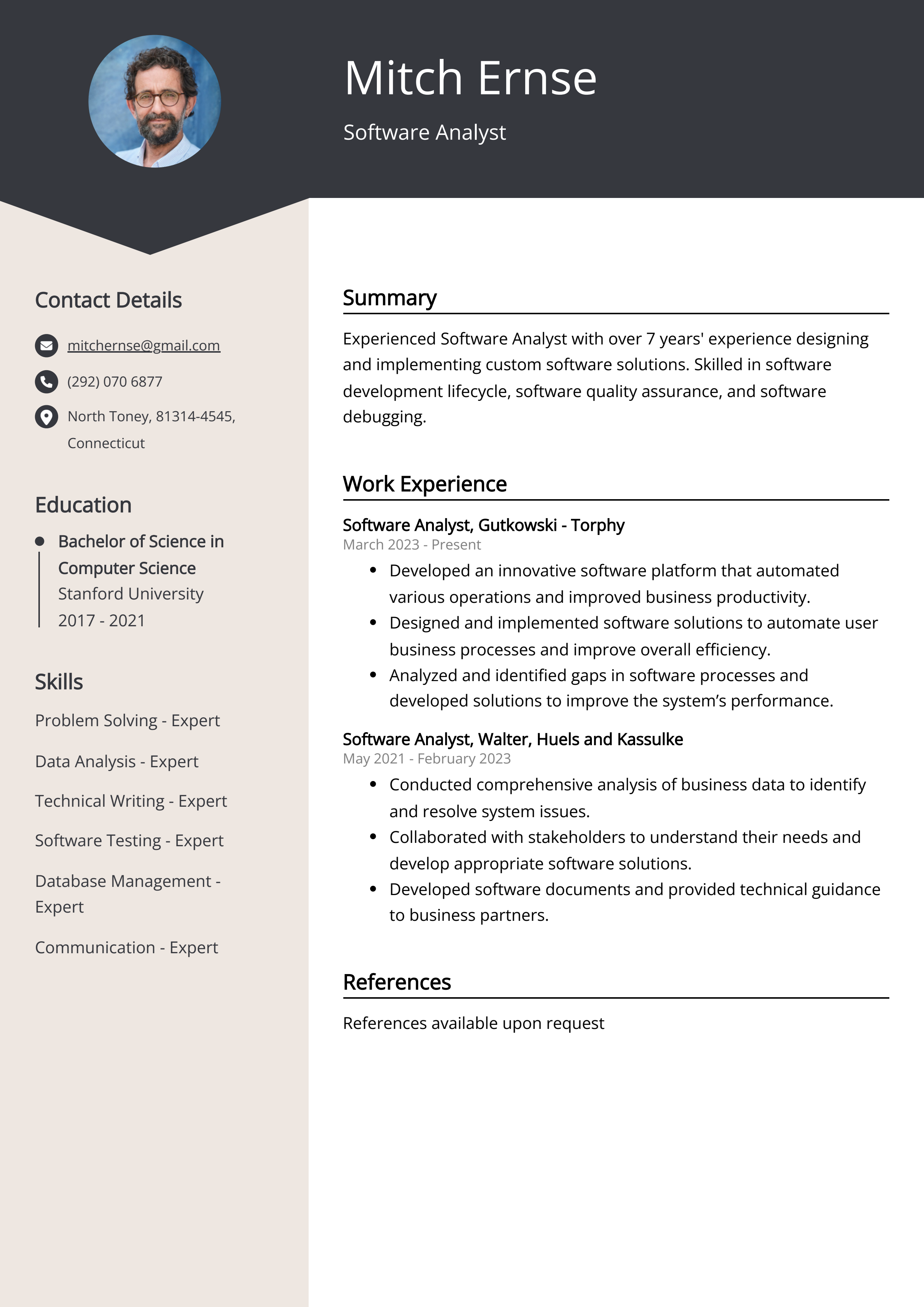 Software Analyst CV Example