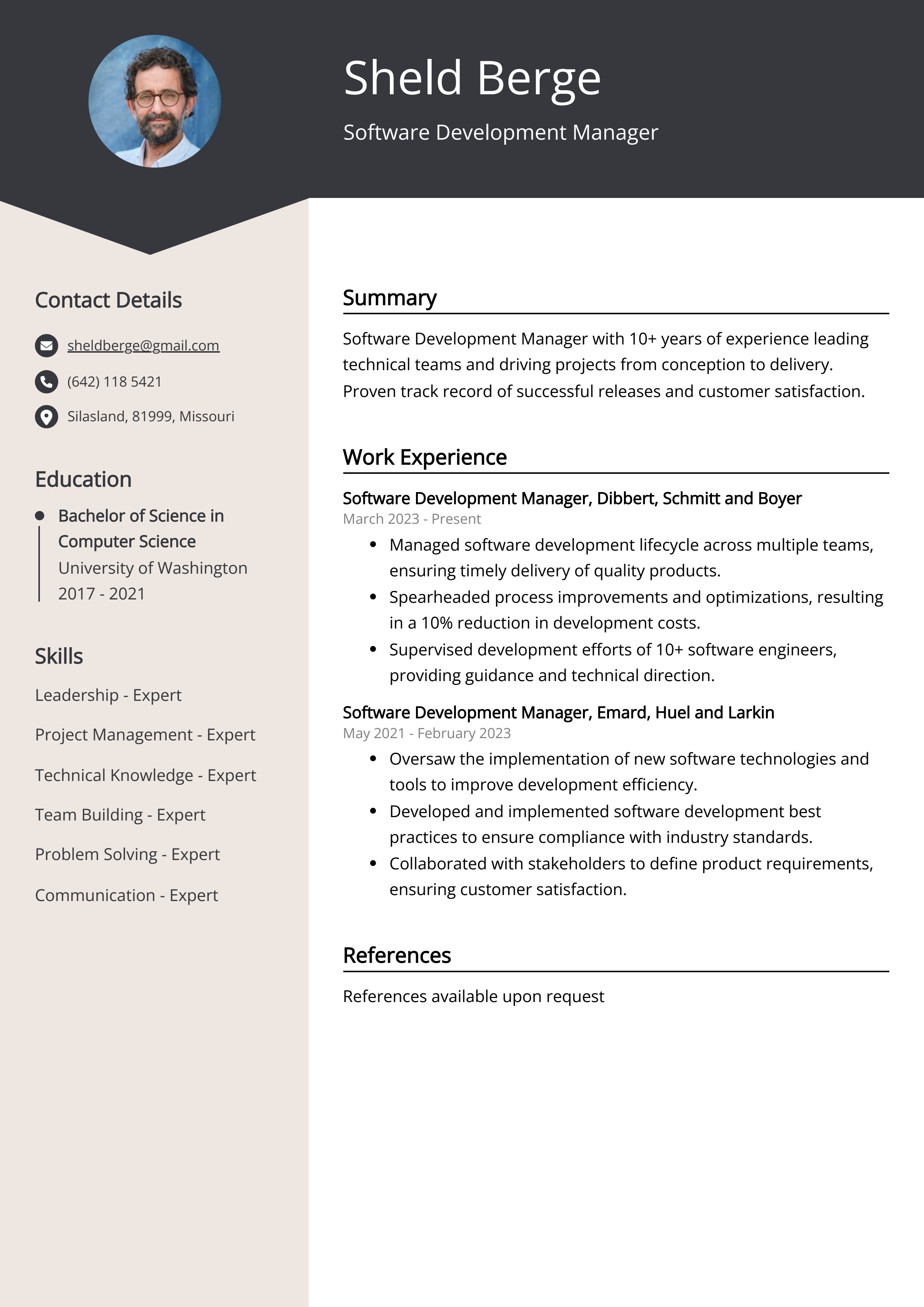 Software Development Manager CV Example