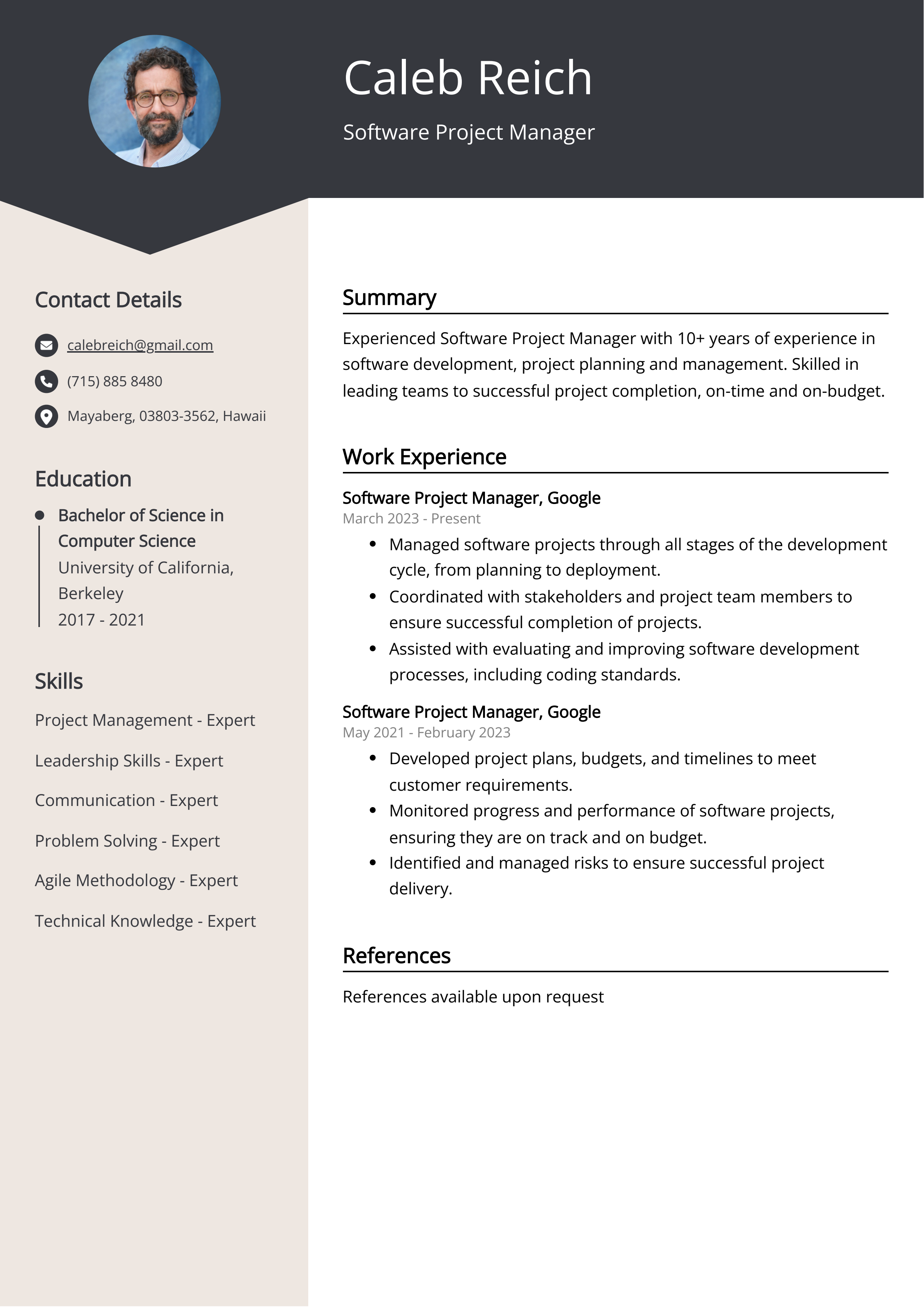 Software Project Manager CV Example