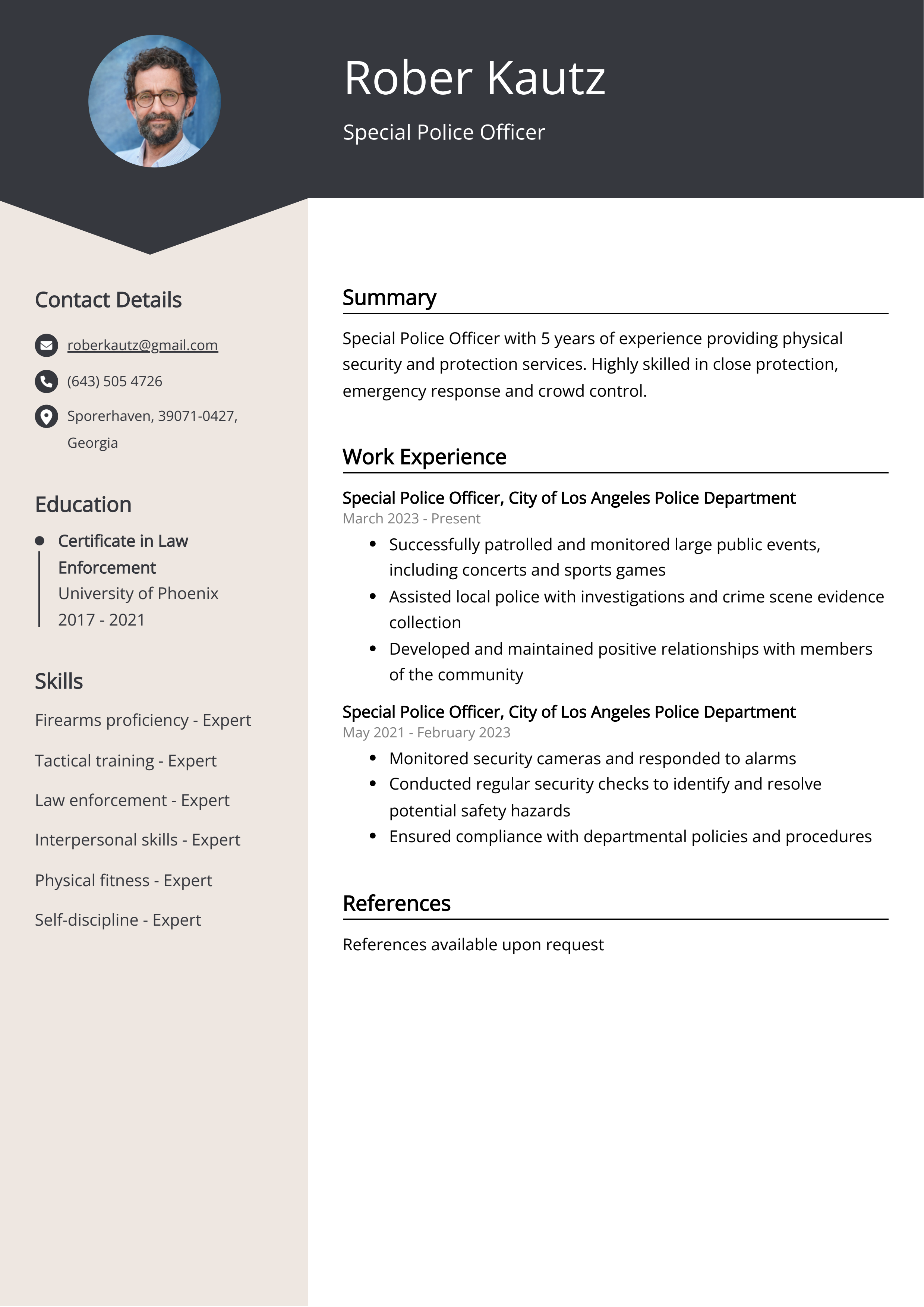 Special Police Officer CV Example