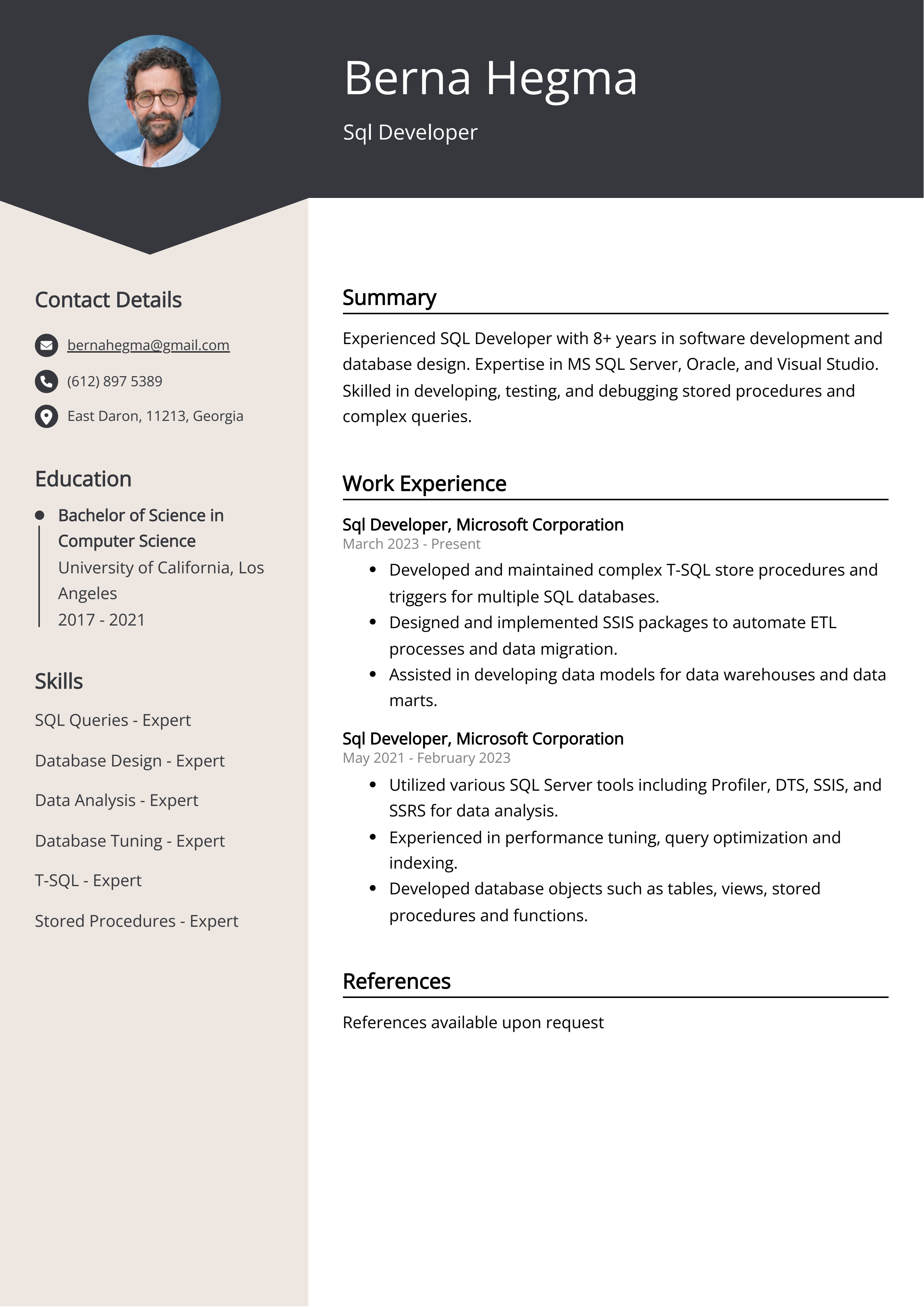 Sql Developer CV Example