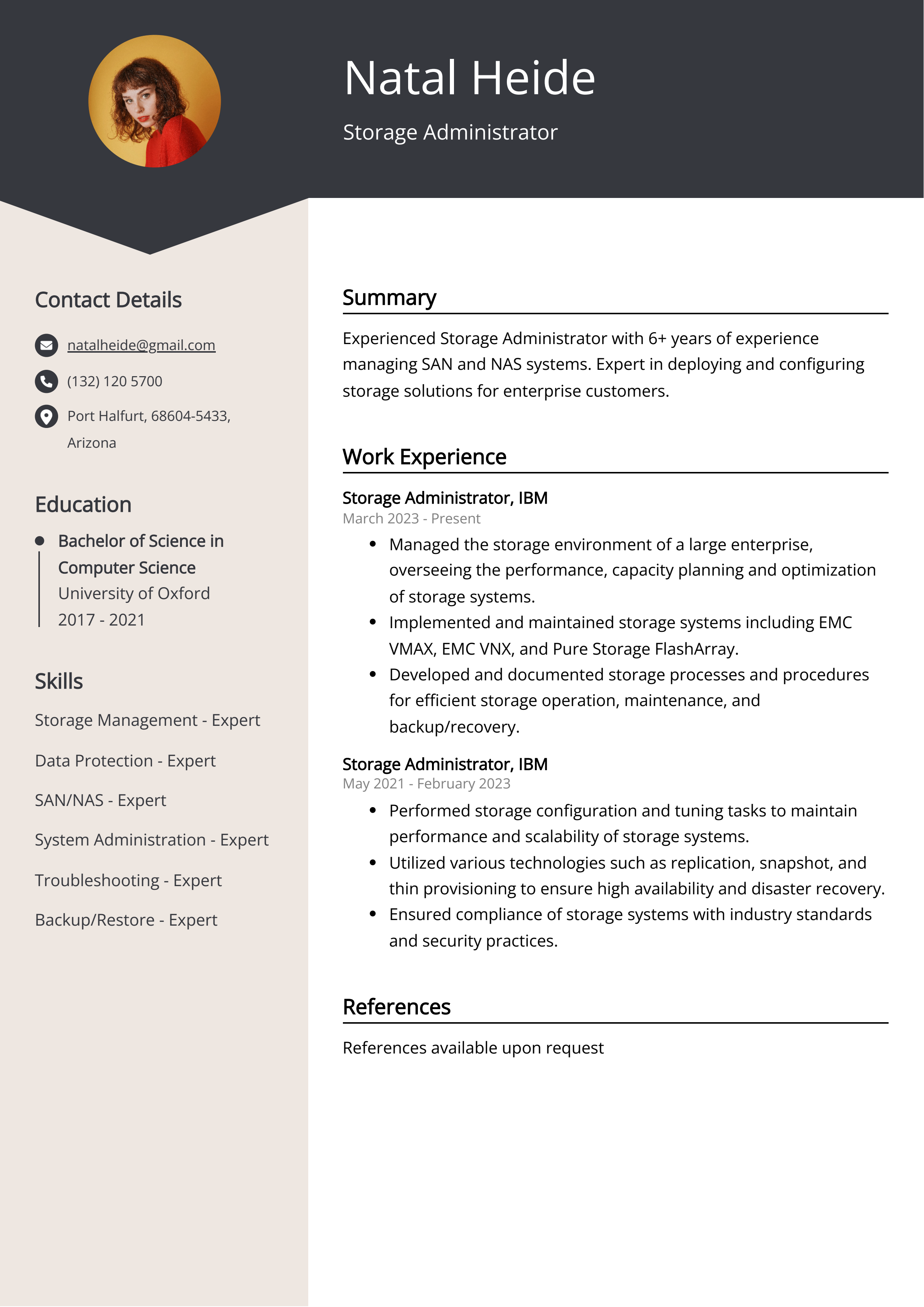 Storage Administrator CV Example