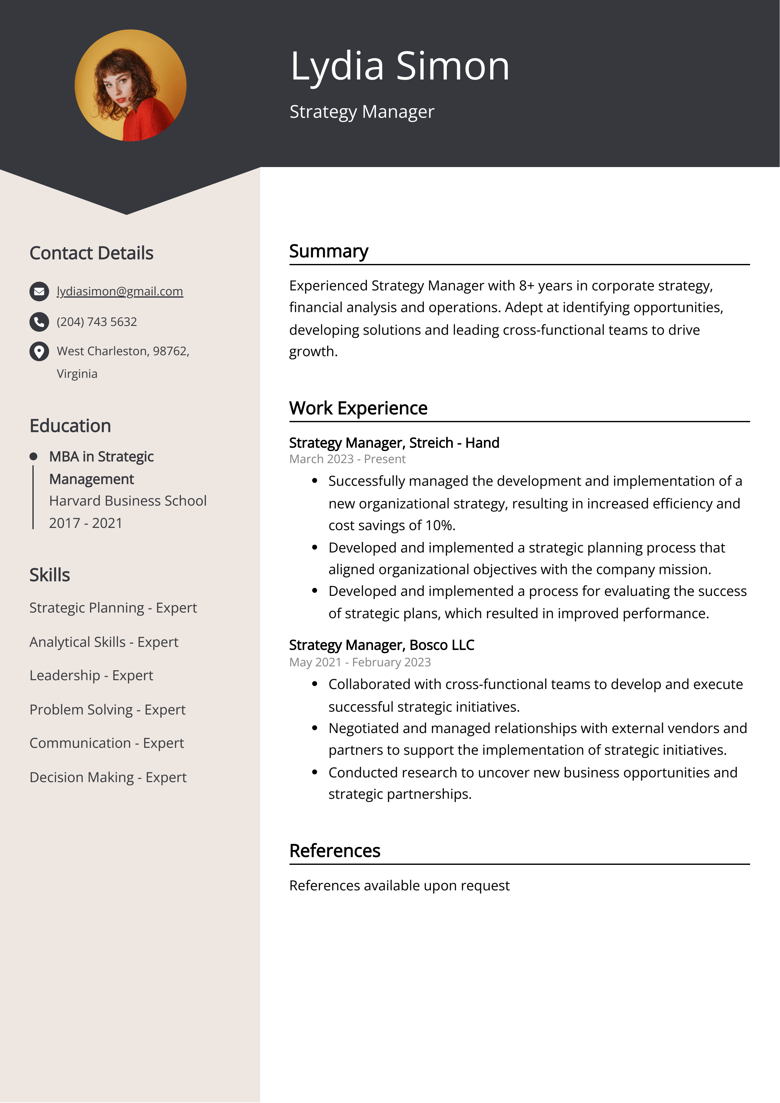 Strategy Manager CV Example