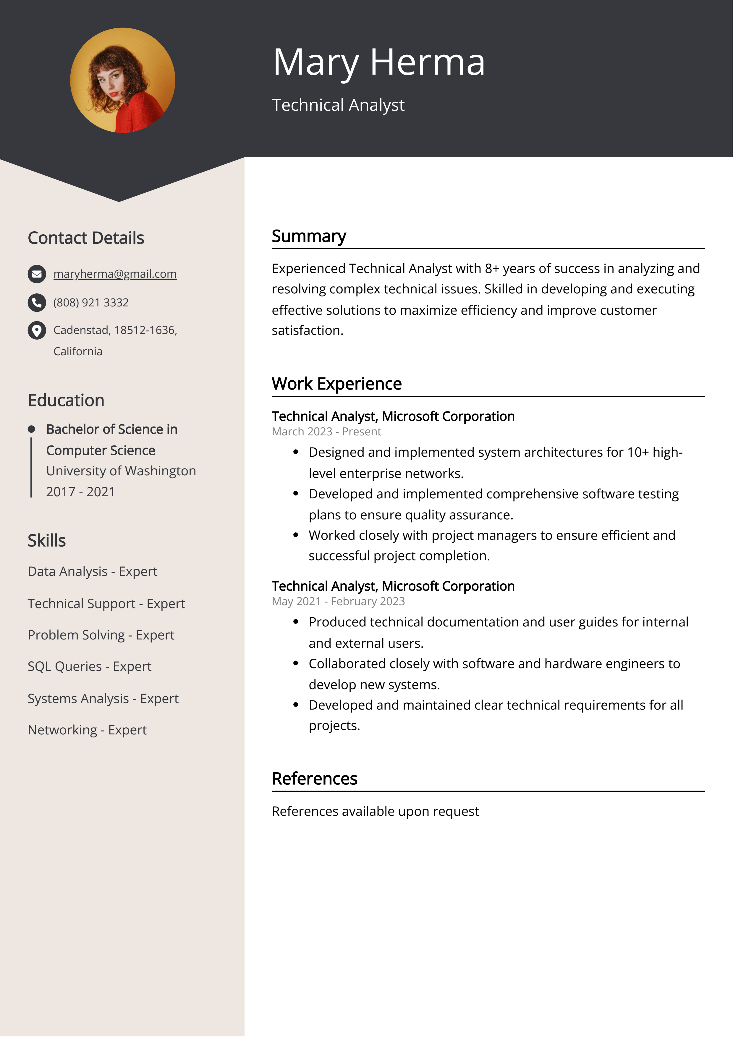 Technical Analyst CV Examples Template 20 Tips 