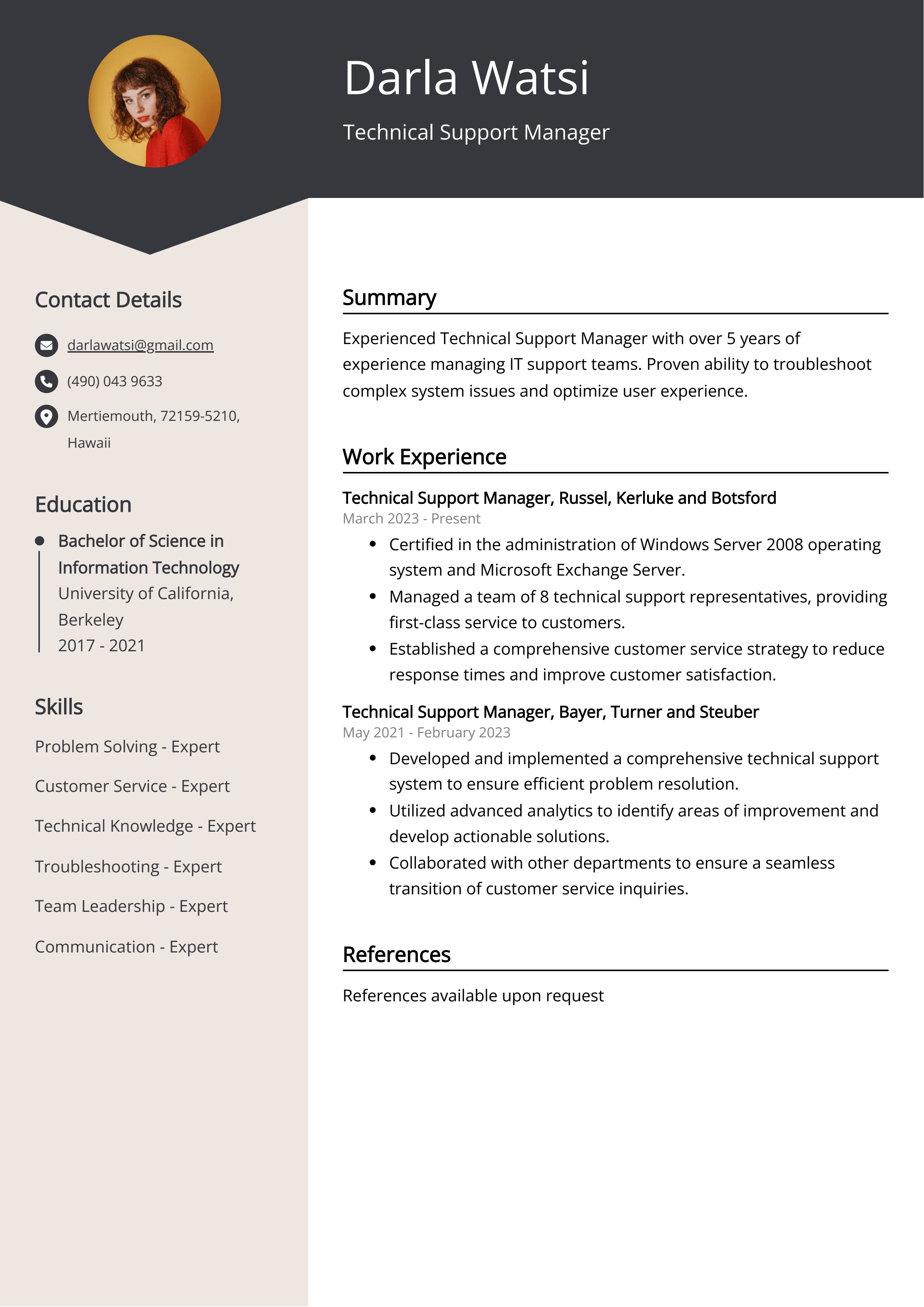 Technical Support Manager CV Example