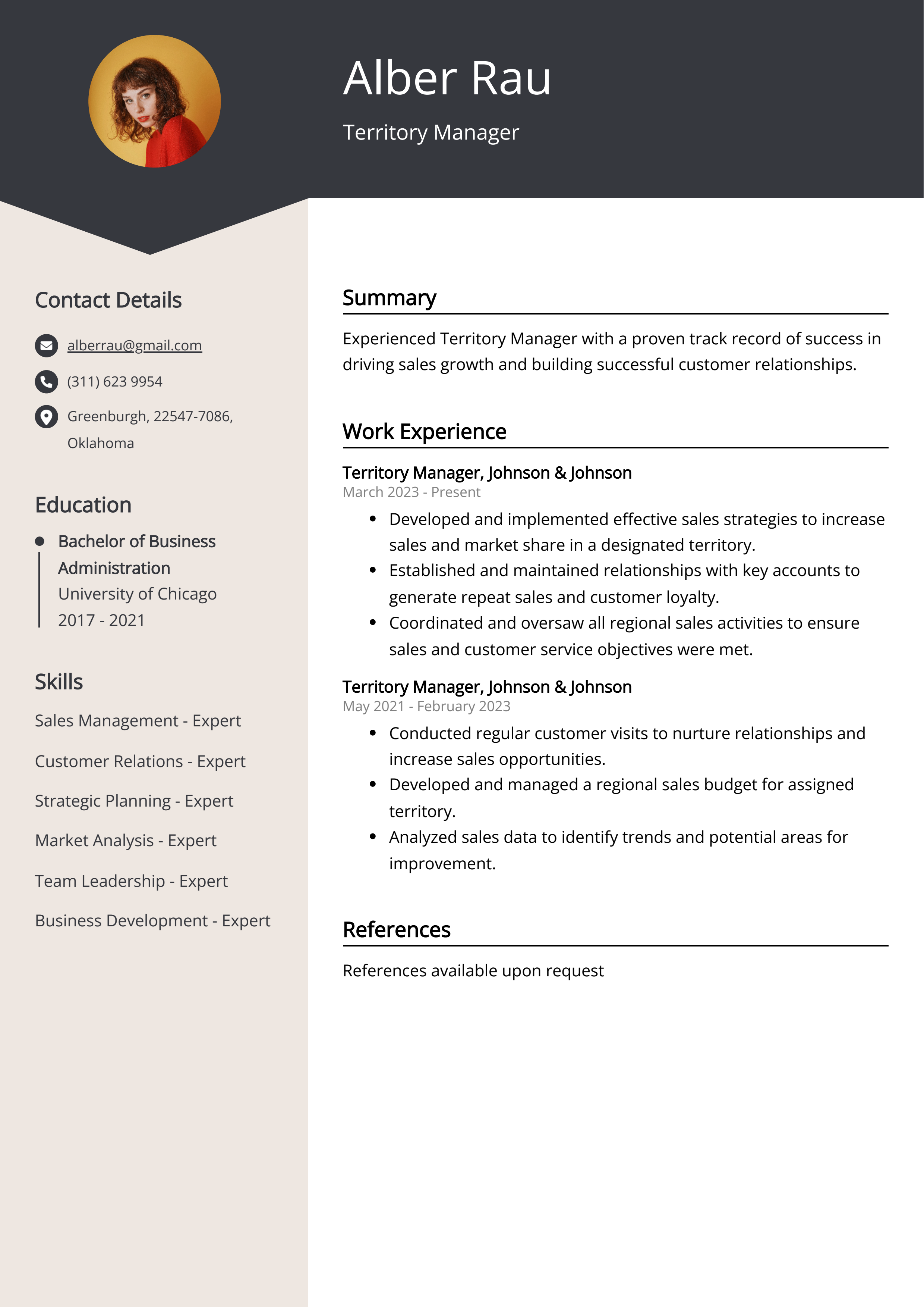 Territory Manager CV Example